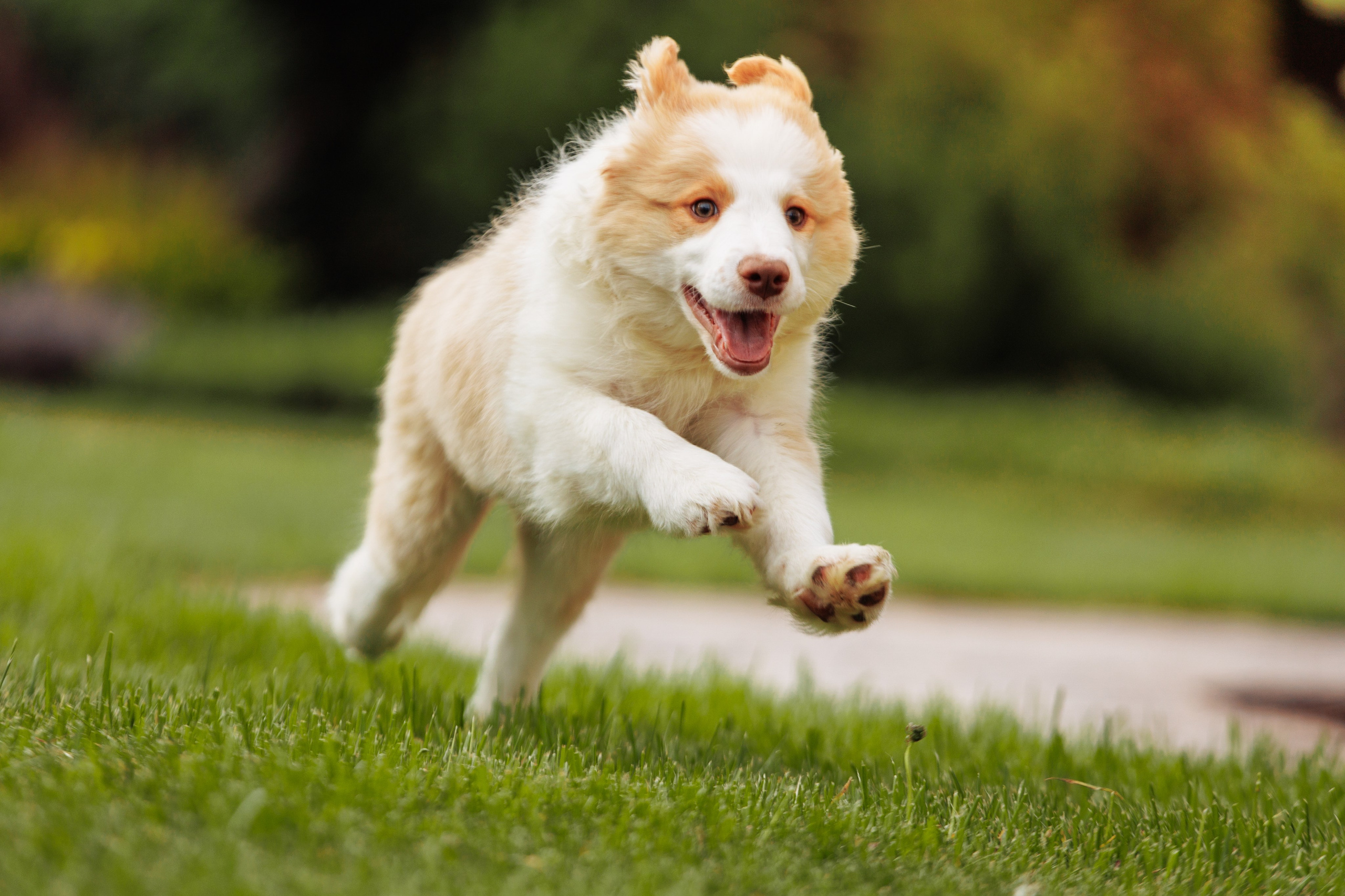 СОлнечные. О нас