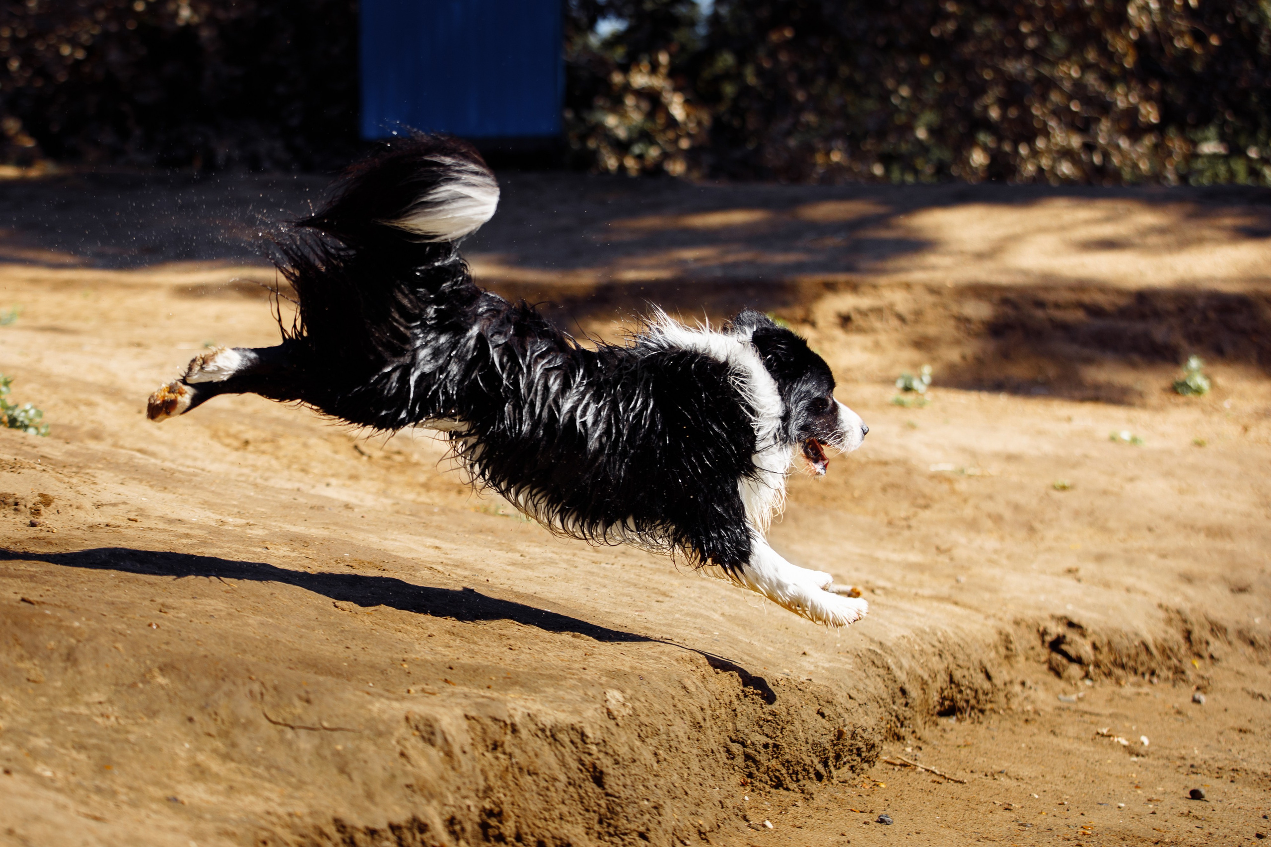 Водяные в Новотроицке. О нас