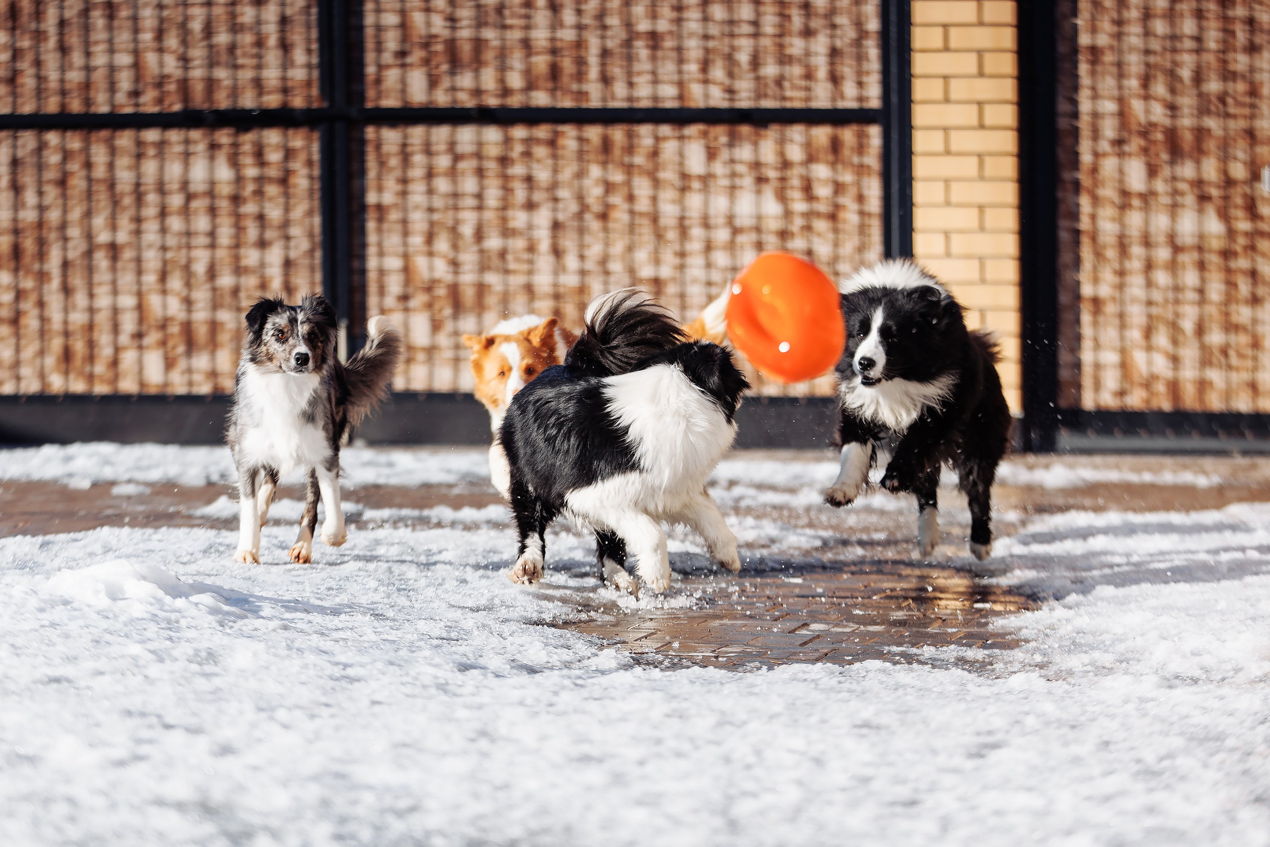 Пока таяло. О нас