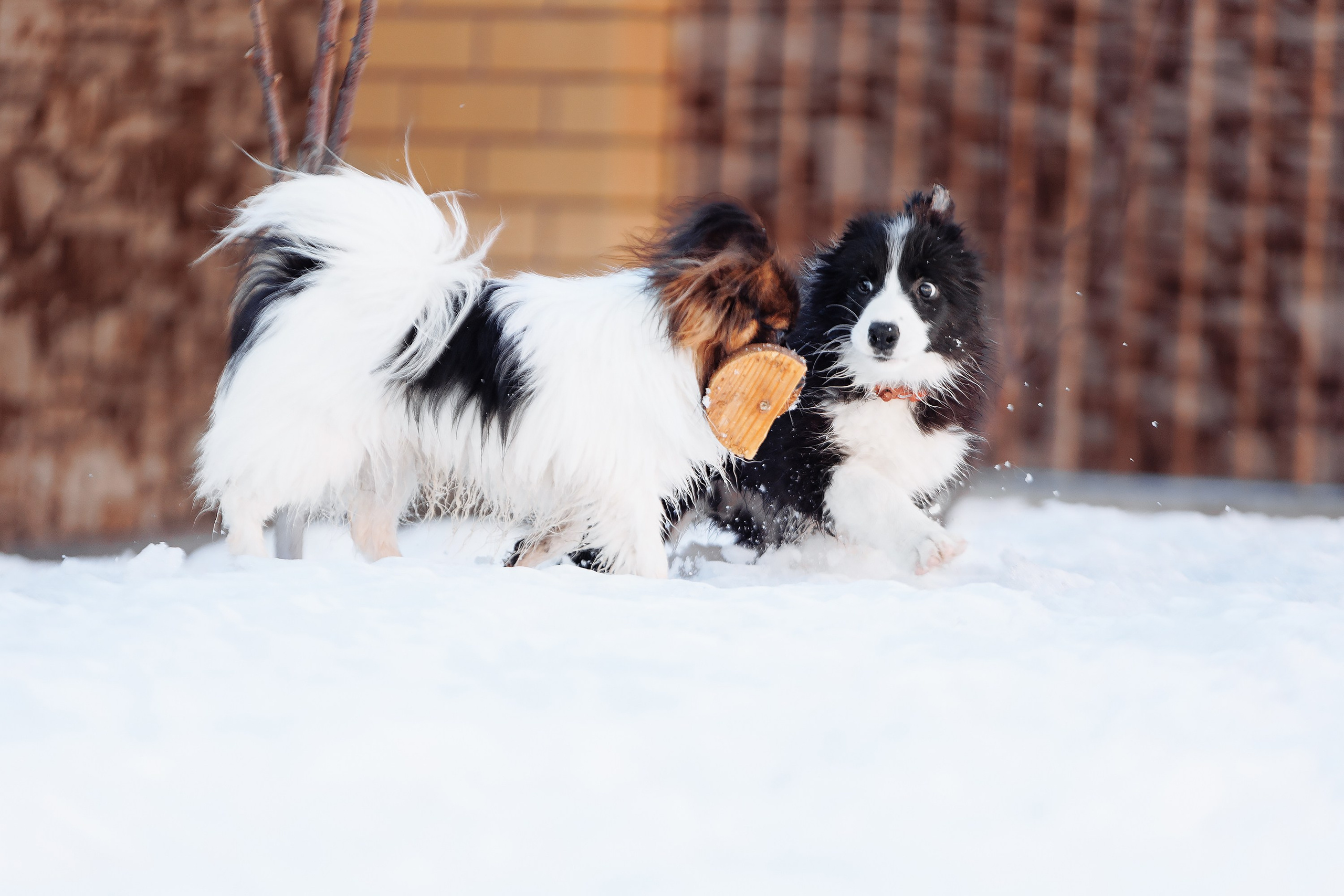 Пока таяло. О нас