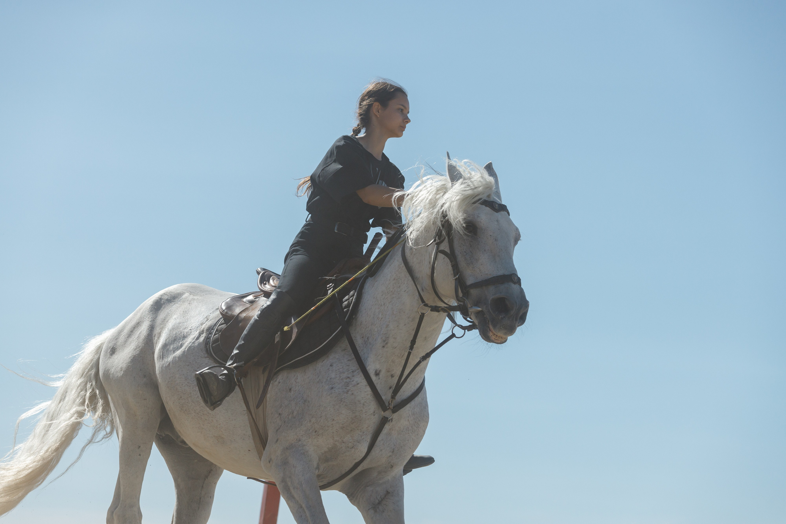 День Поля 2024 Мин-Воды ЭКСПО. Фотограф Ставрополь Петр Голубенко