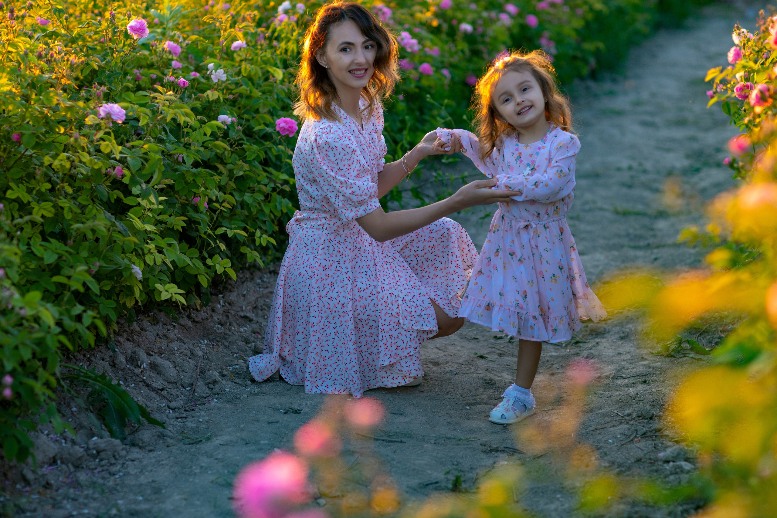 Чайная роза. Фотограф Севастополь/Крым Светлана Евтушенко