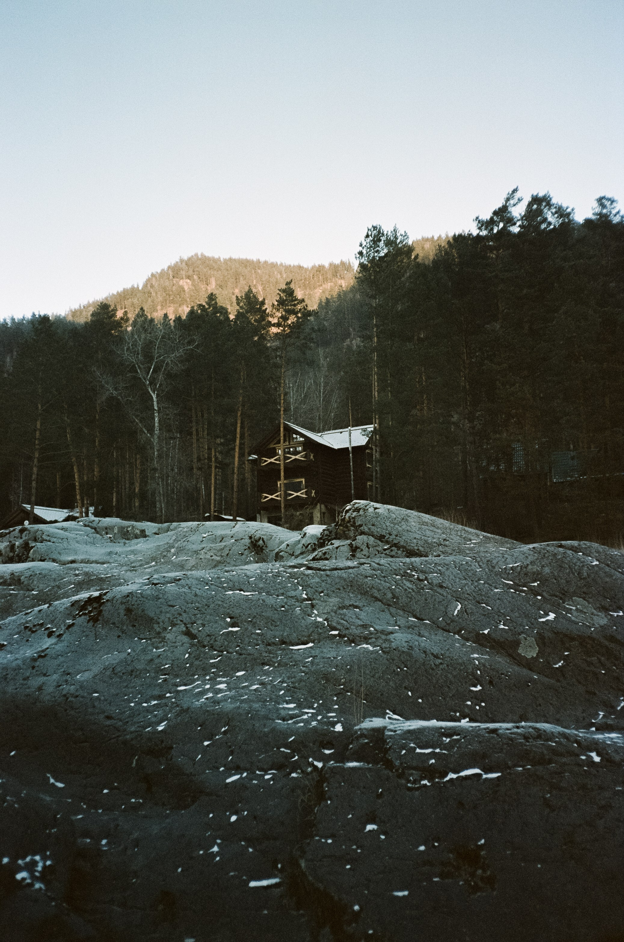 Кедровый остров в суровый мороз. Фотограф-документалист Мария Осокина