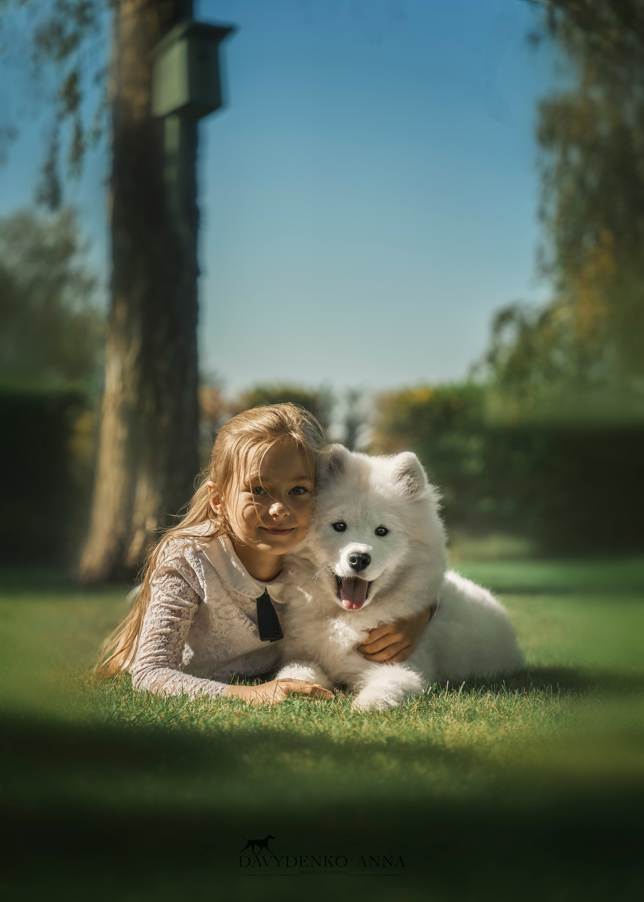 щенок самоеда сочи