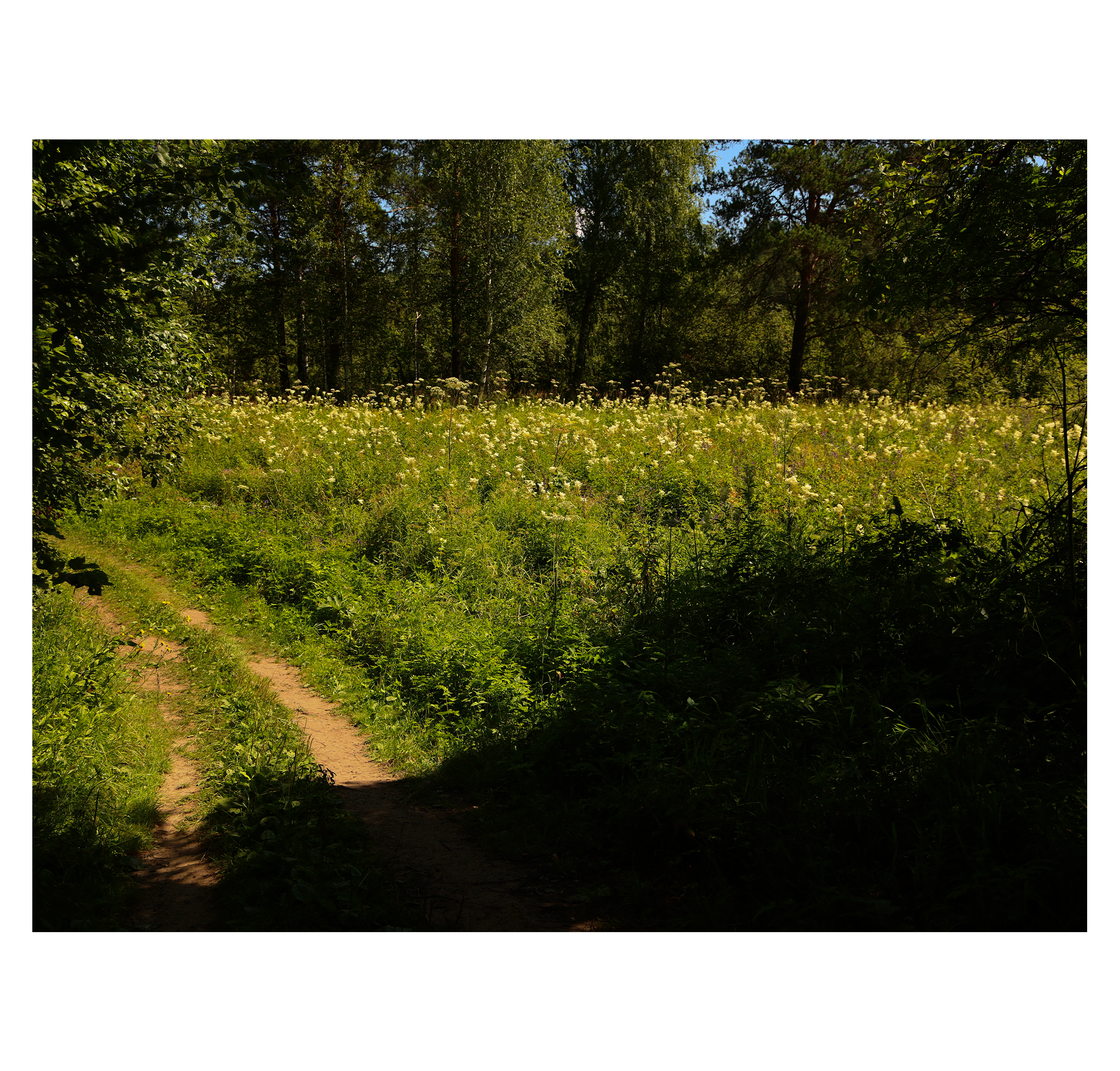 Summer hike. Фотограф/дизайнер в Екатеринбурге Хитрый Дмитрий
