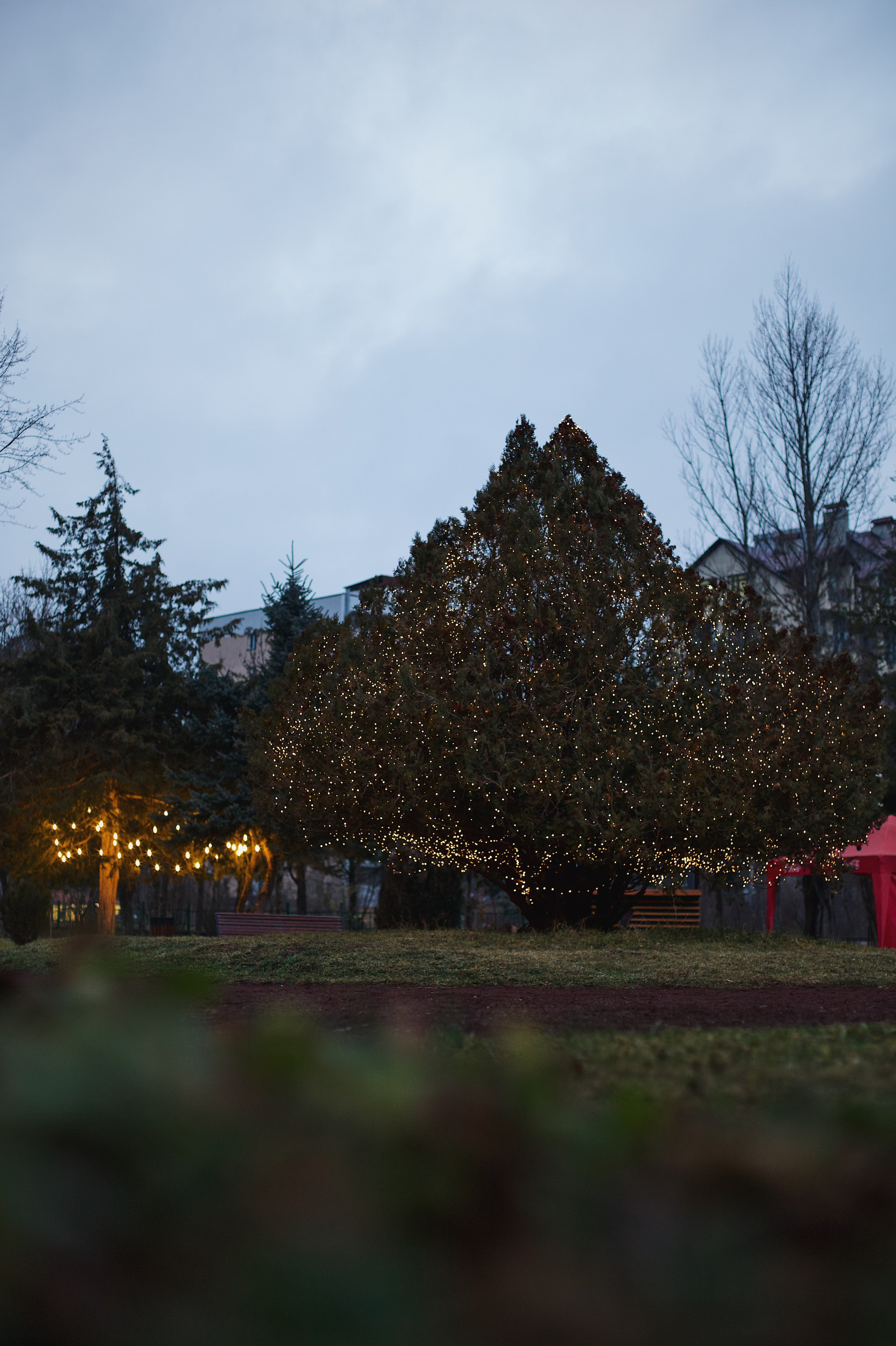 Christmas Tree opening in Dilijan city park. Фотограф в Армении Женя Гилевич