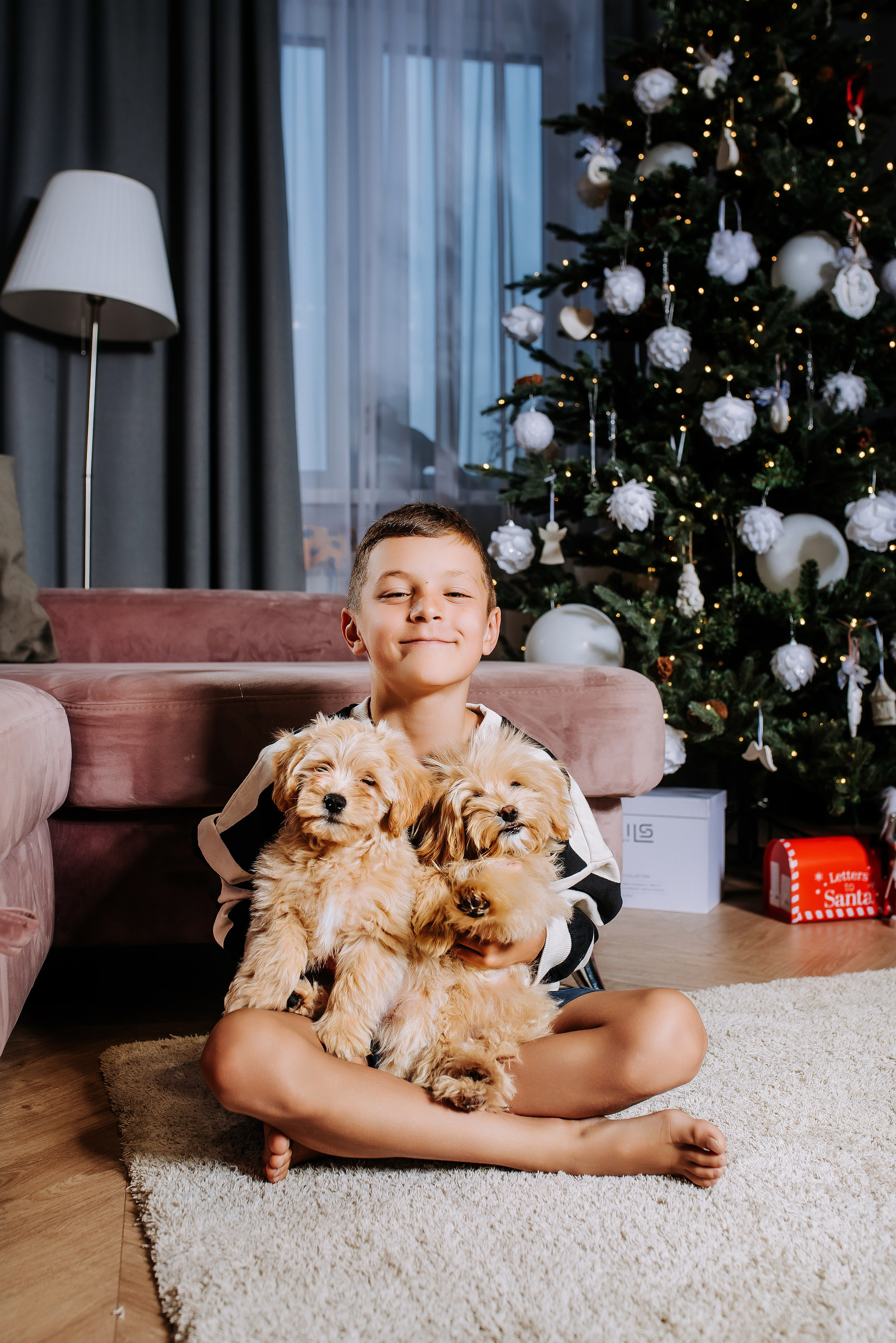 Домашние съёмки. Фотограф Диана Оленина Красноярск / Братск
