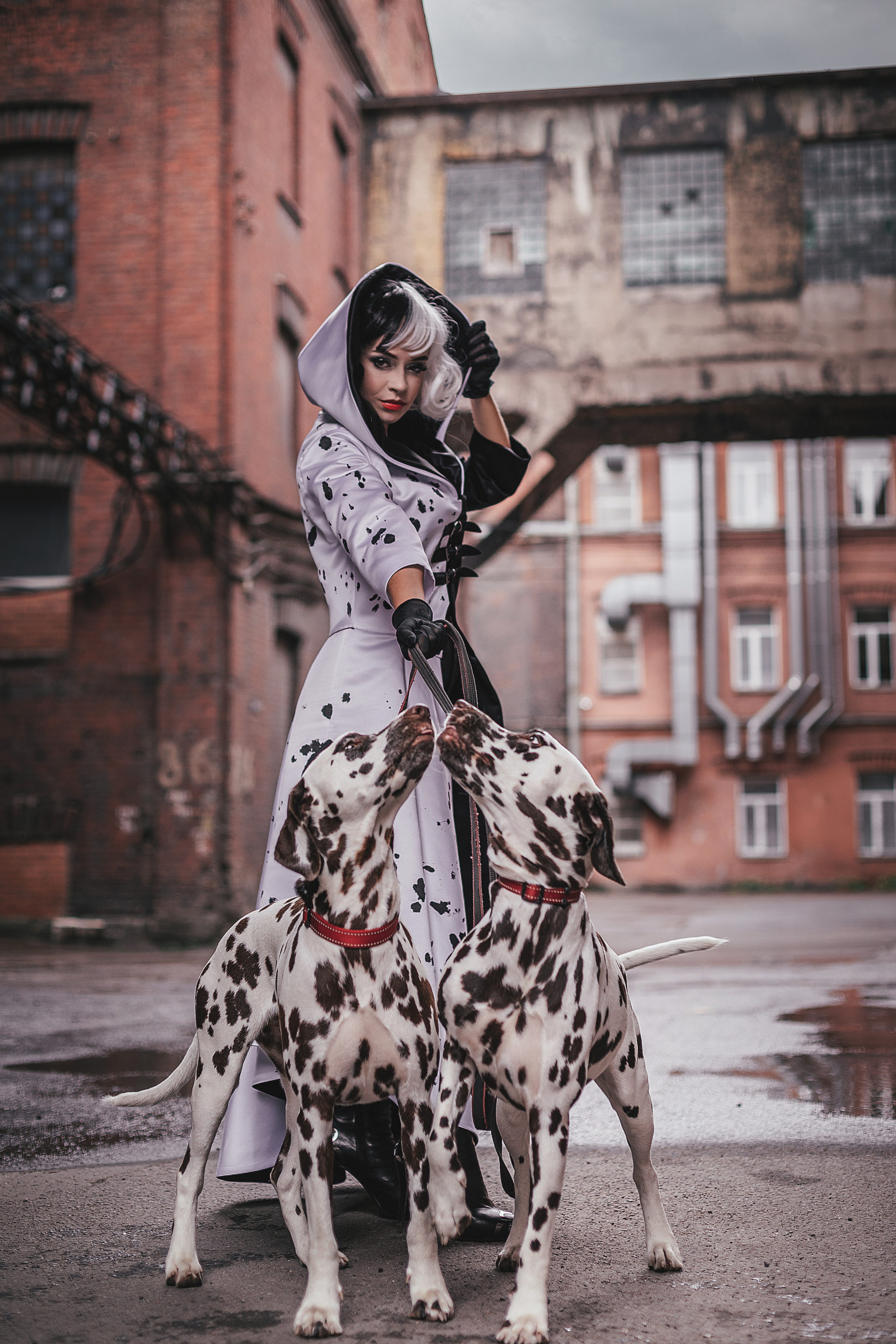 Con animales. Fotógrafo en Buenos Aires