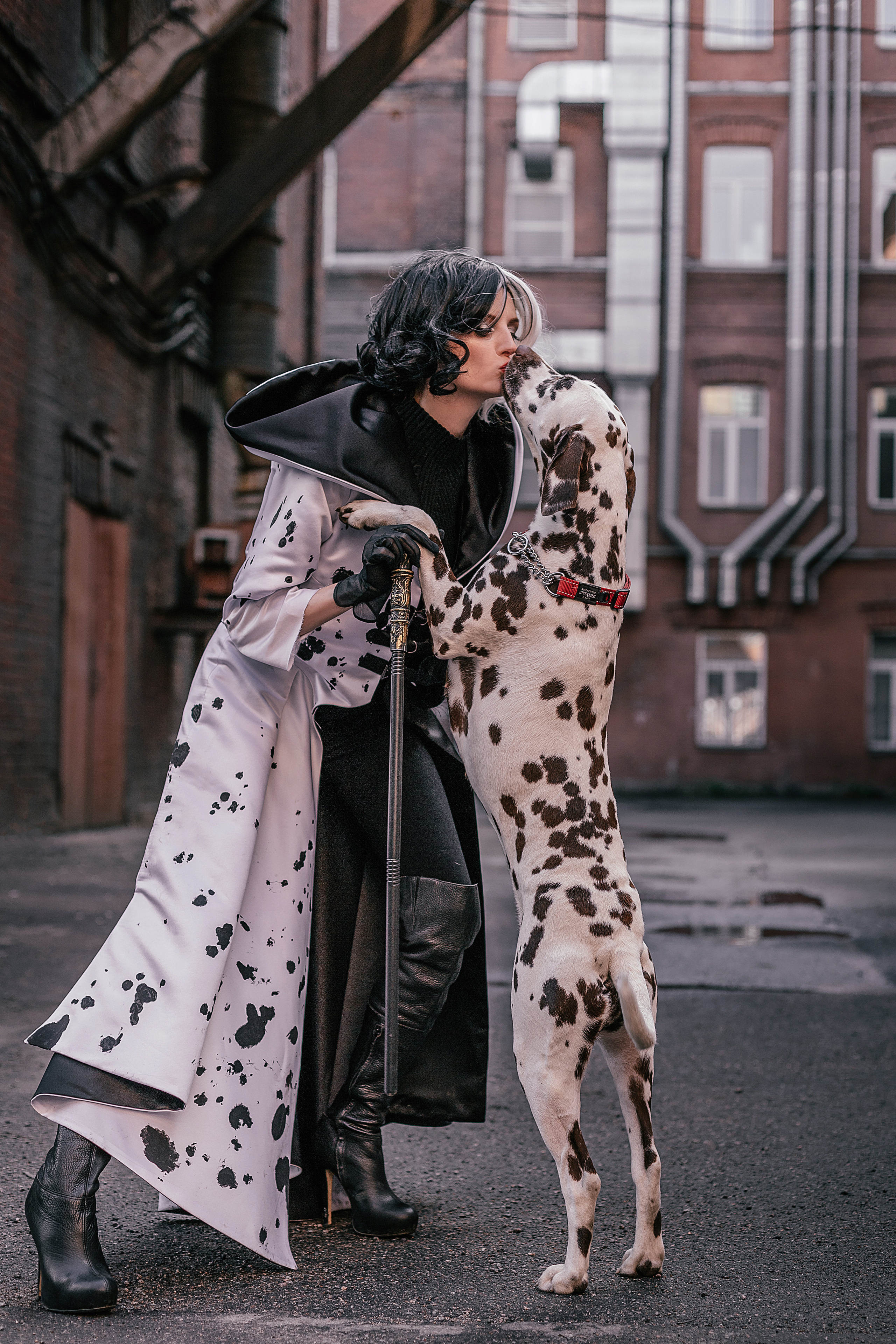 Con animales. Fotógrafo en Buenos Aires