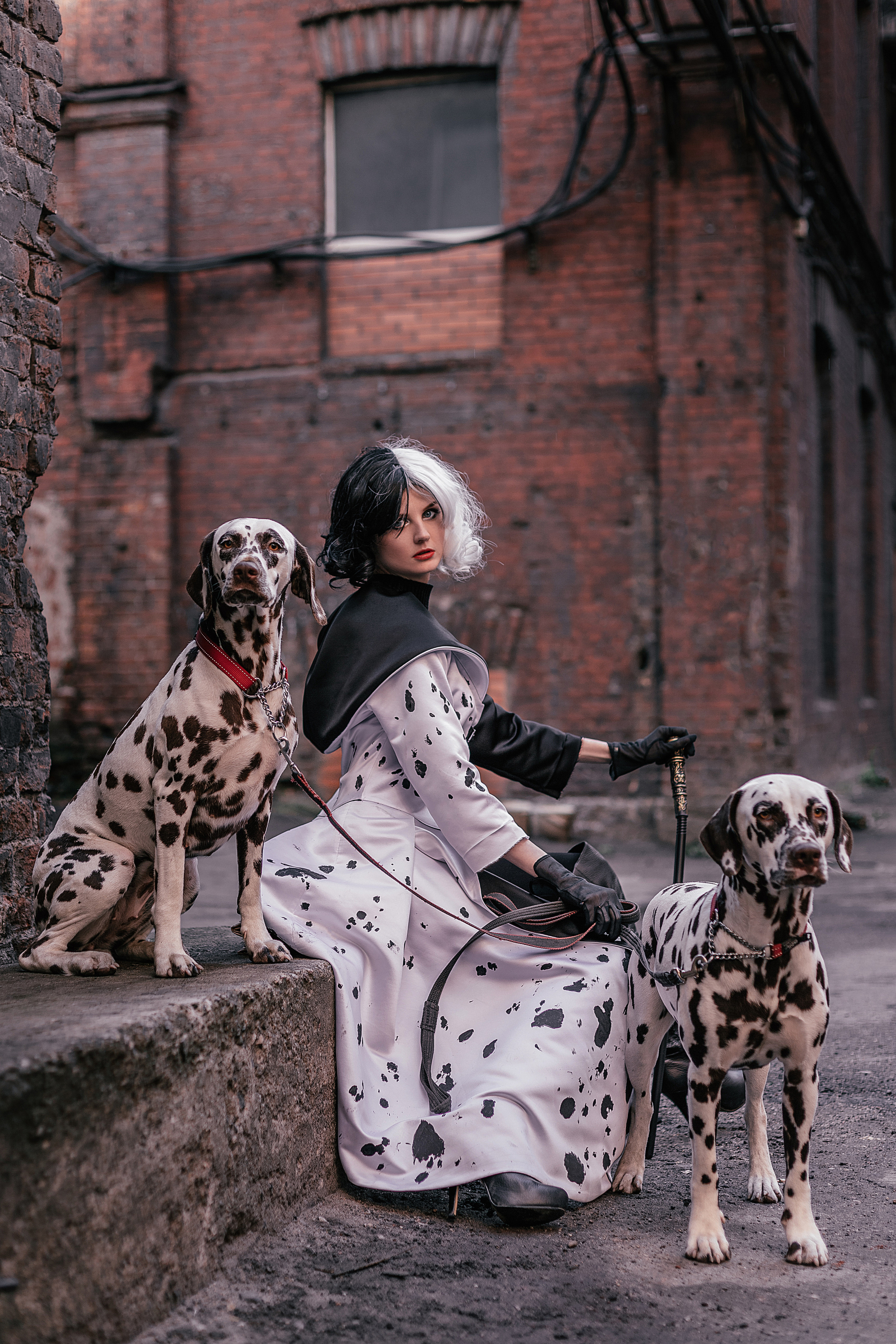 Con animales. Fotógrafo en Buenos Aires