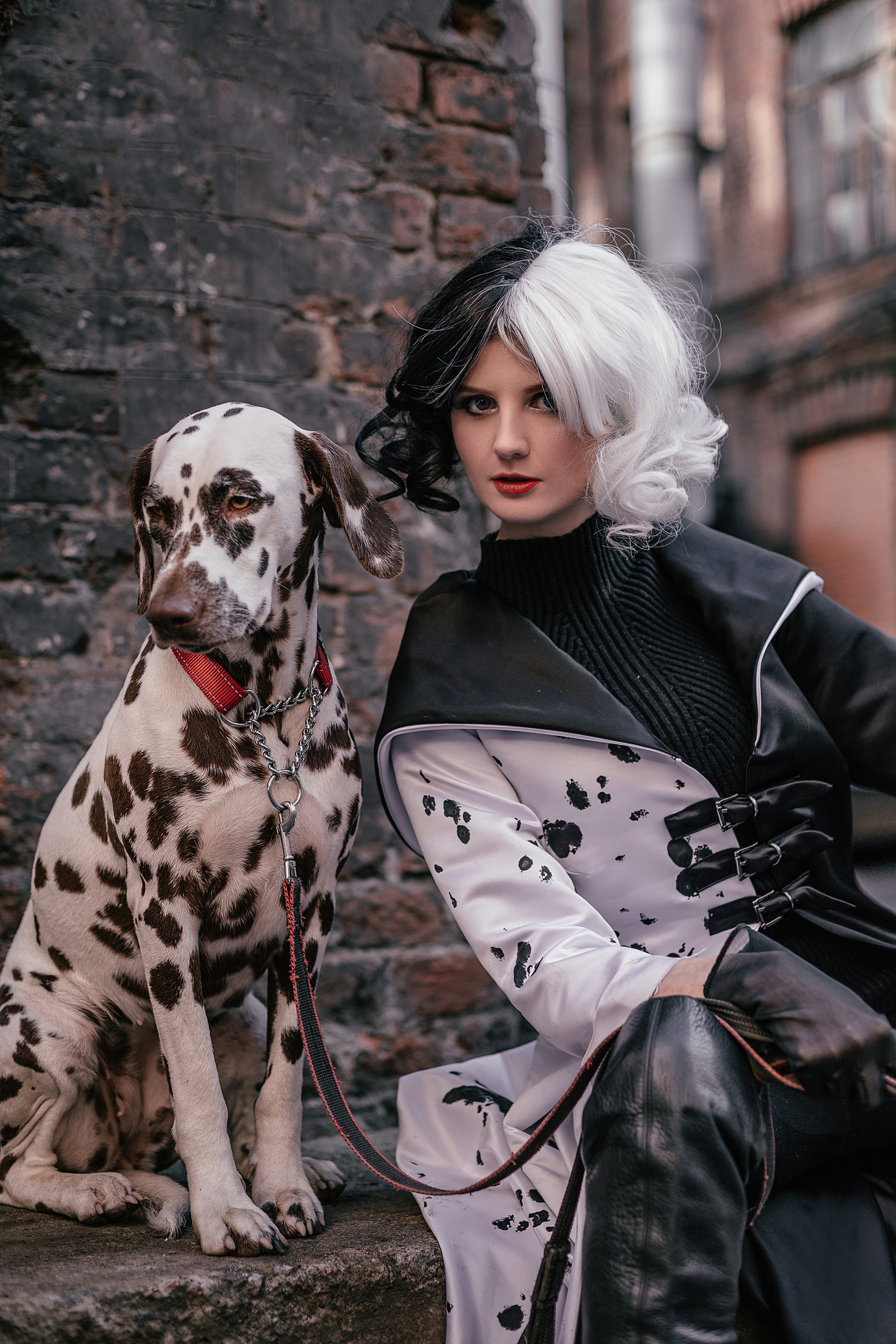 Con animales. Fotógrafo en Buenos Aires