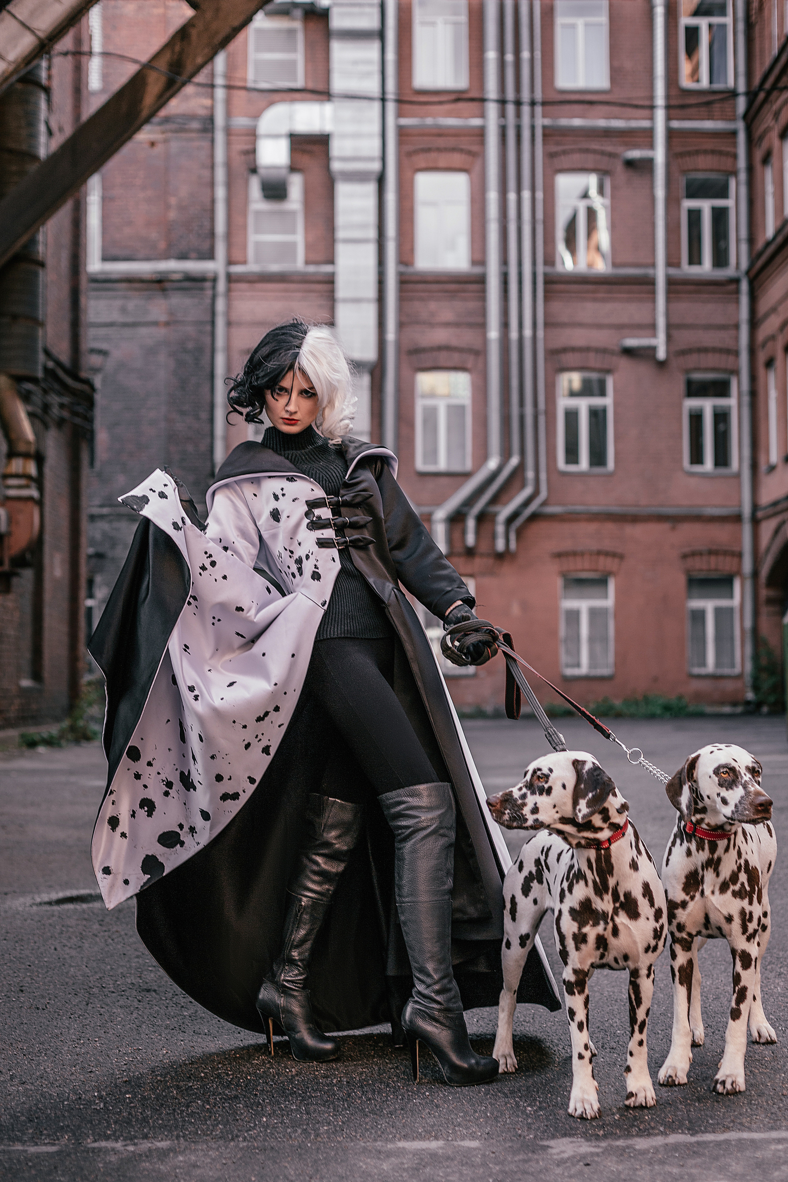 Con animales. Fotógrafo en Buenos Aires