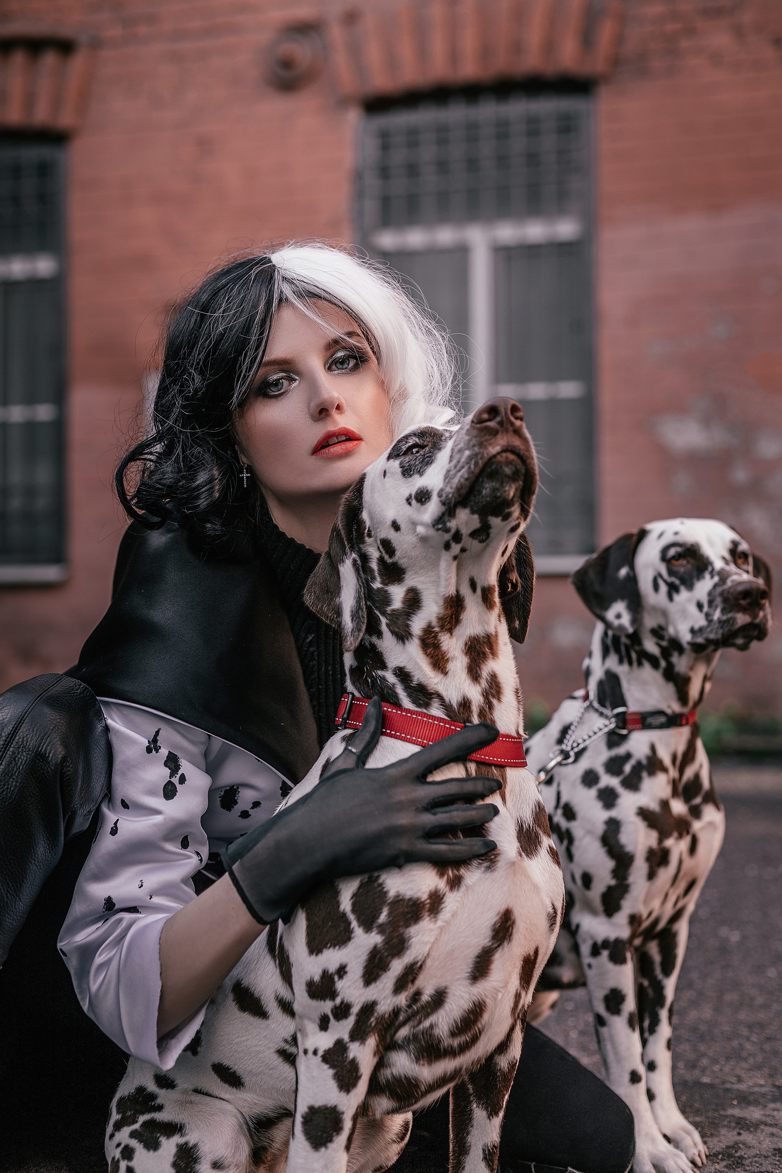 Con animales. Fotógrafo en Buenos Aires