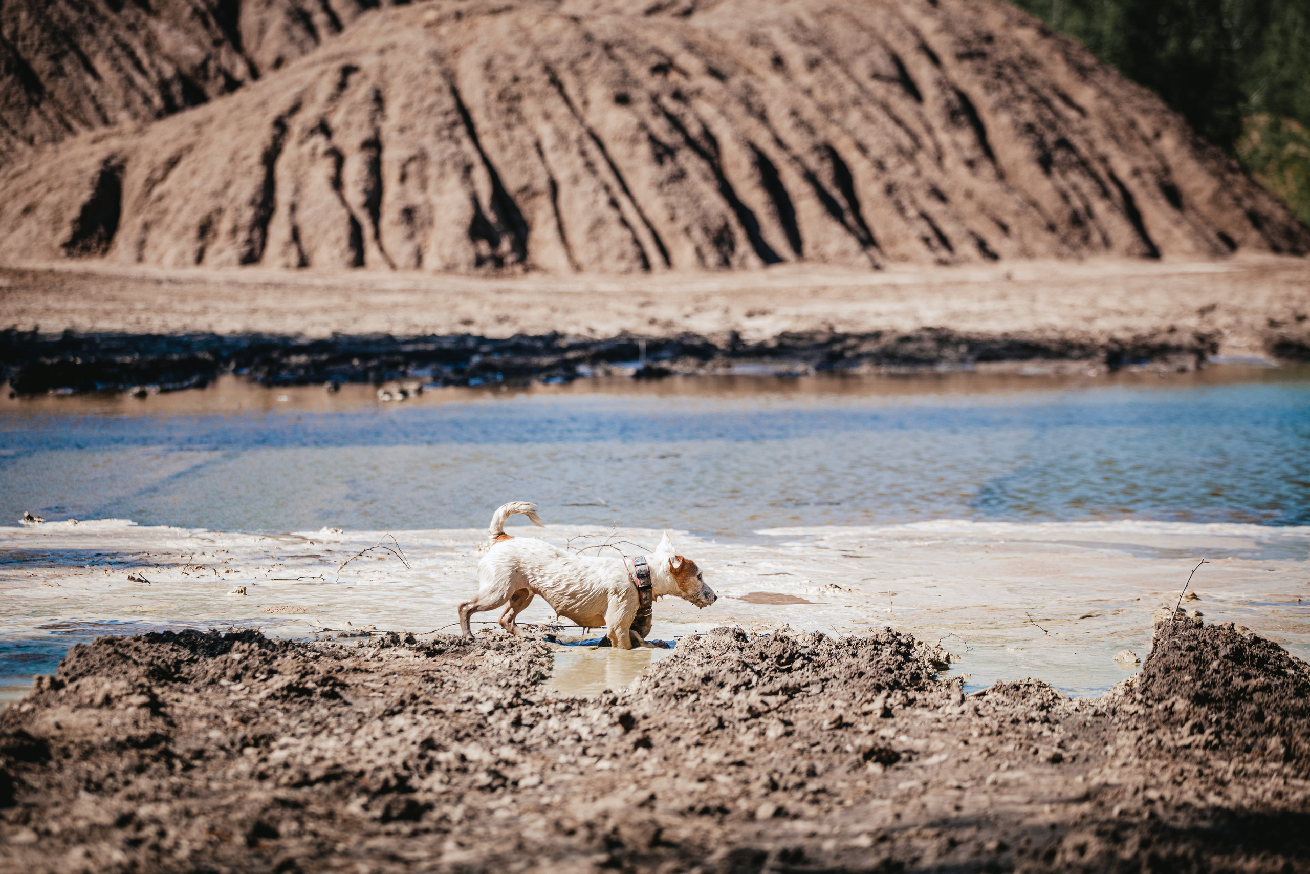 Кондуки. Фотограф-анималист Татьяна Степанова