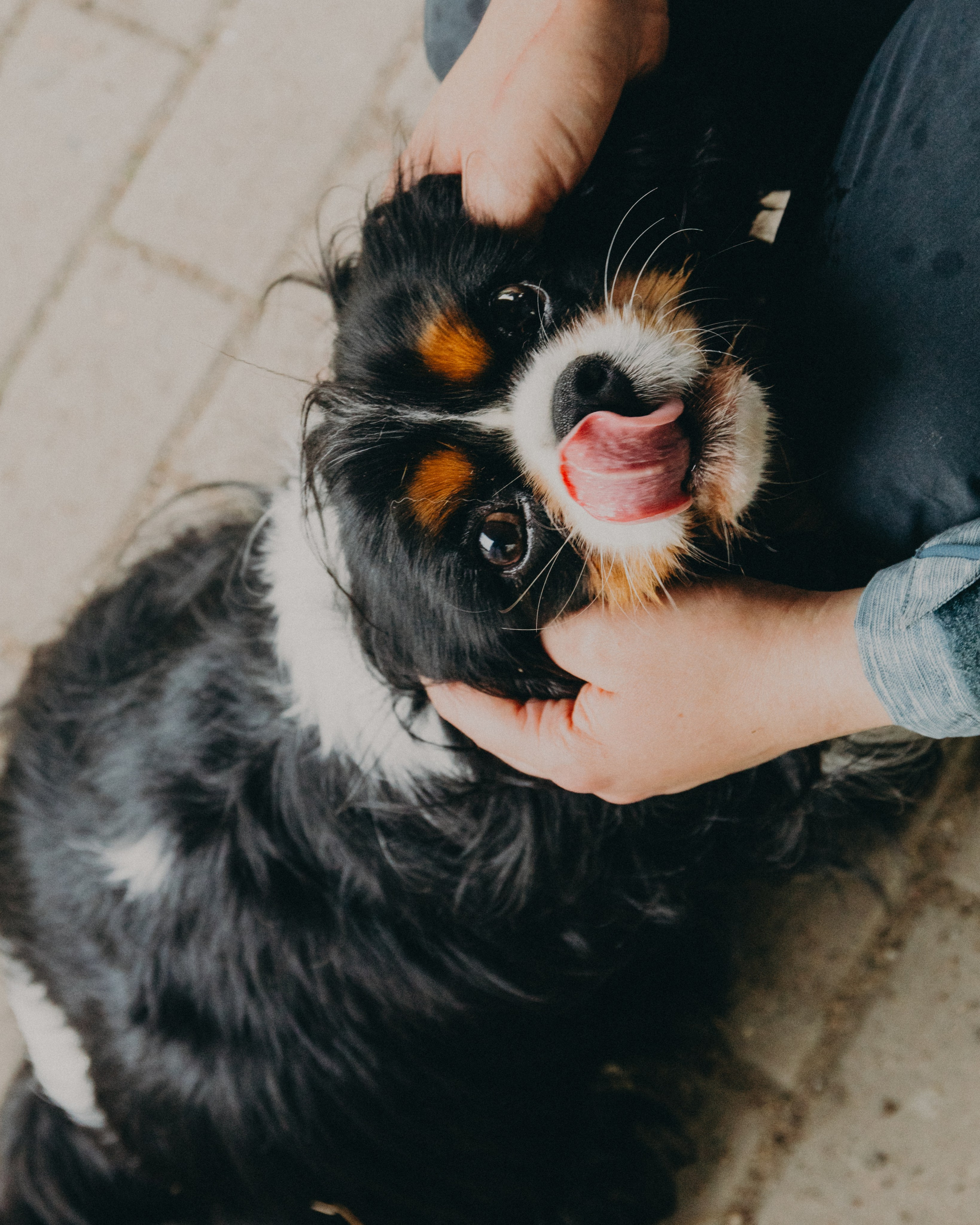Гилдин. Портретный фотограф Ванинен Анастасия. Санкт-Петербург
