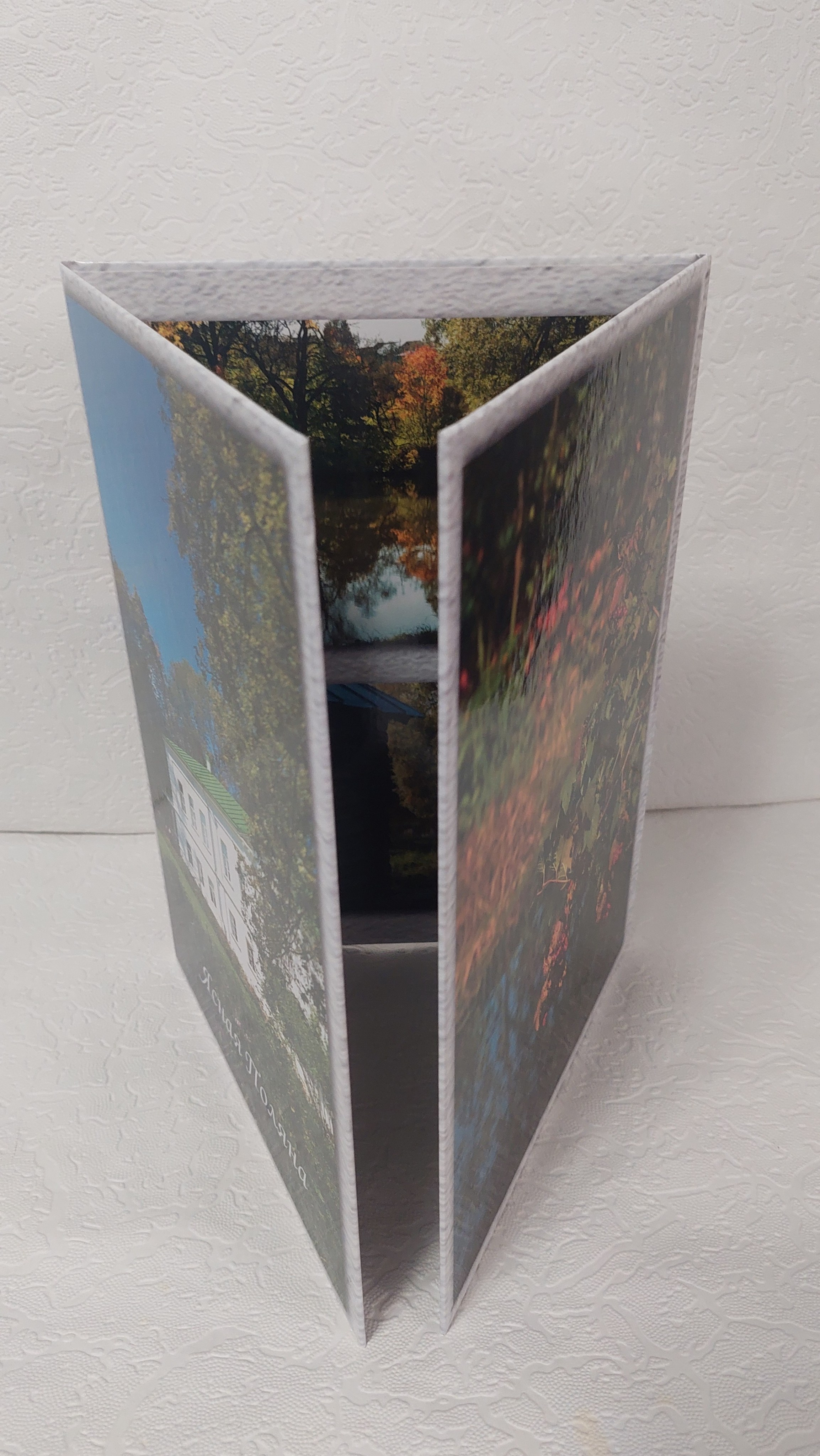 Трюмо. Ясная Поляна. Fotounata.ru