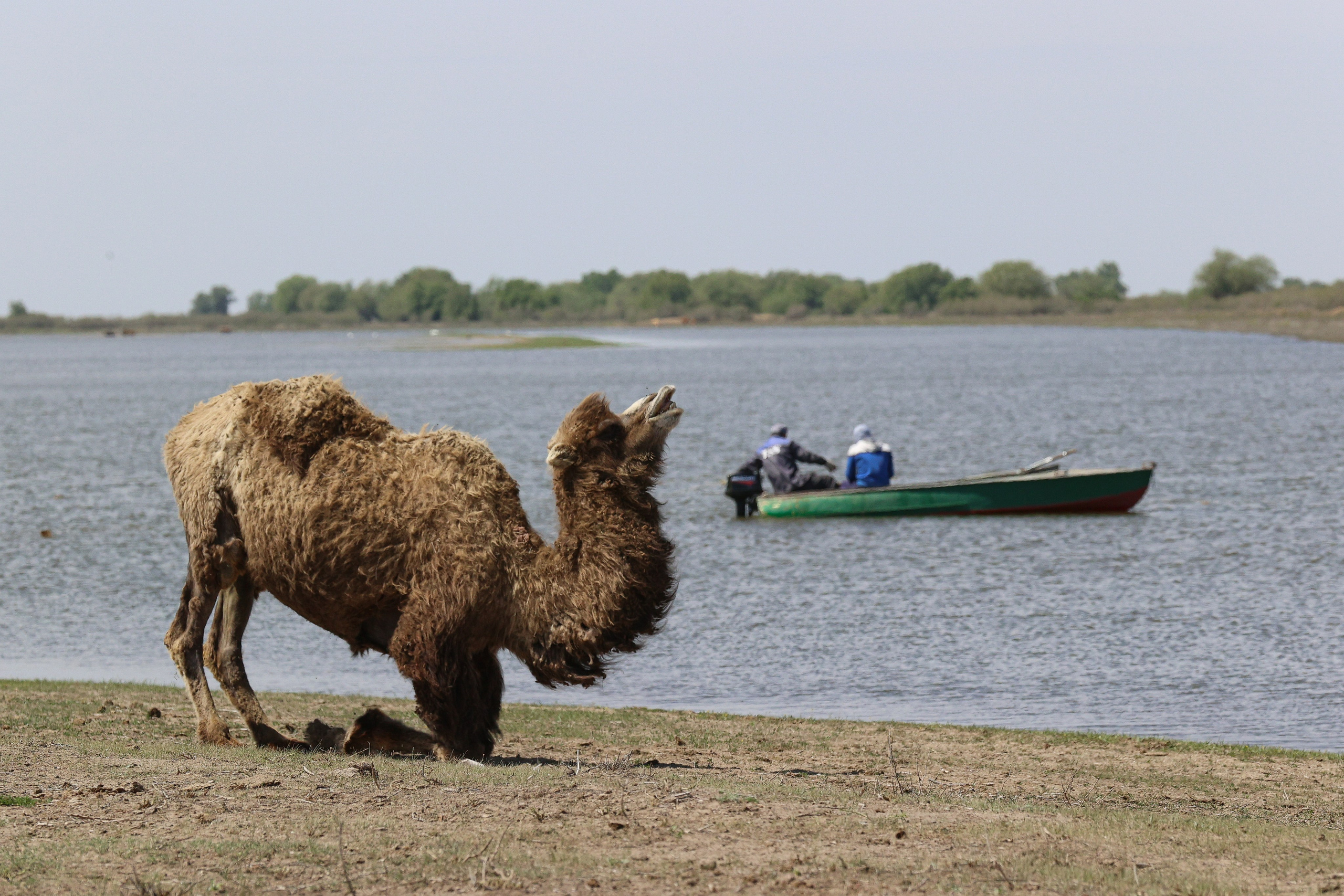 Вид на реку Кигач в селе Коптогай, Атырауской области. На противоположном берегу - уже Россия.