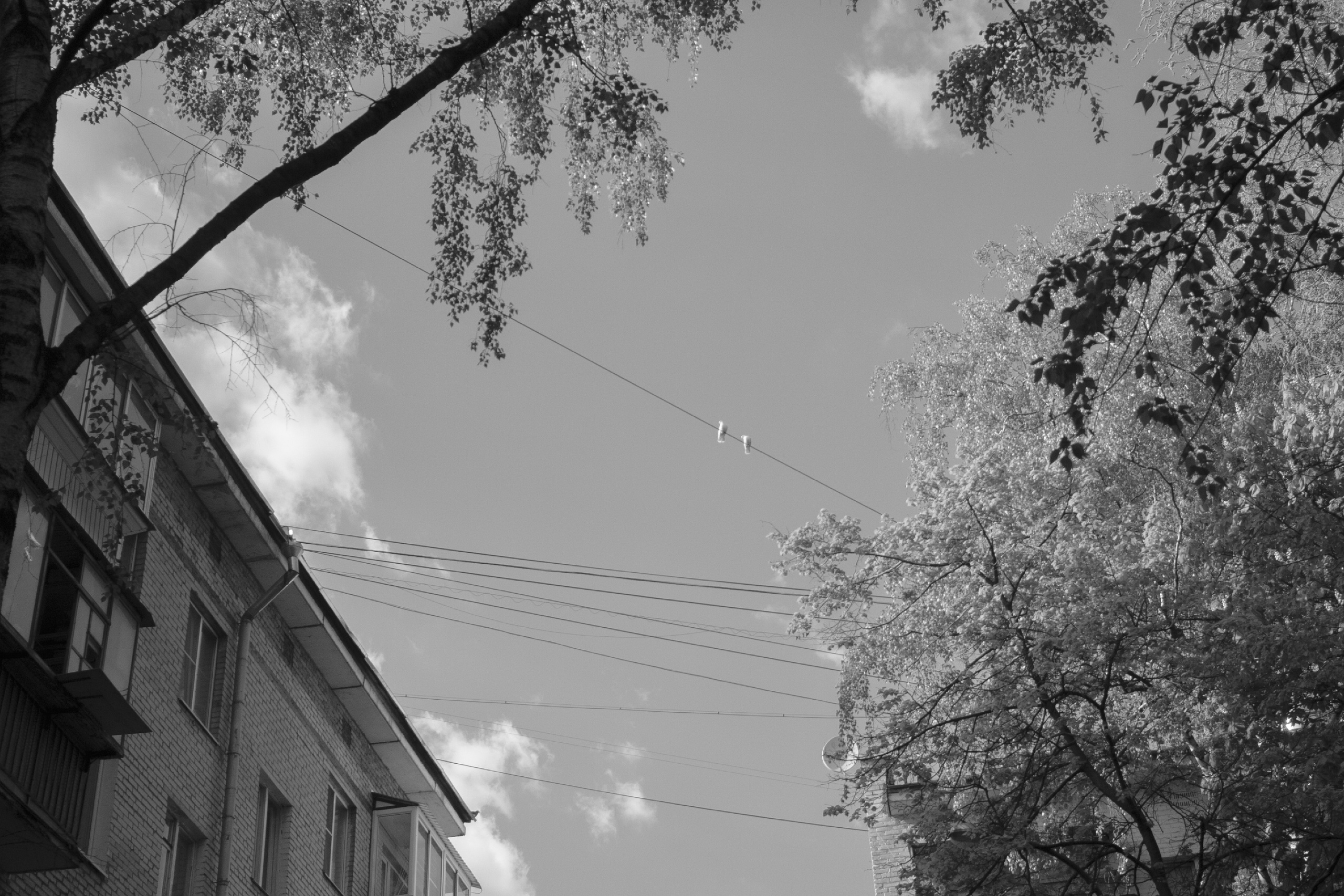 Текущие обстоятельства. Фотограф Злата Спицына