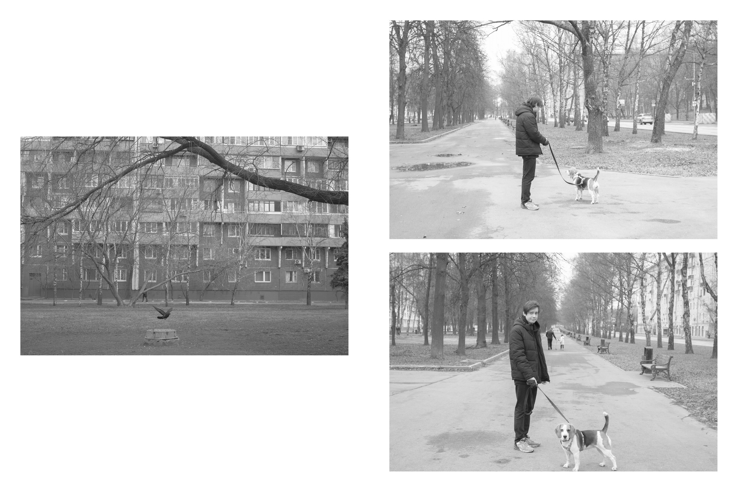 Текущие обстоятельства. Фотограф Злата Спицына