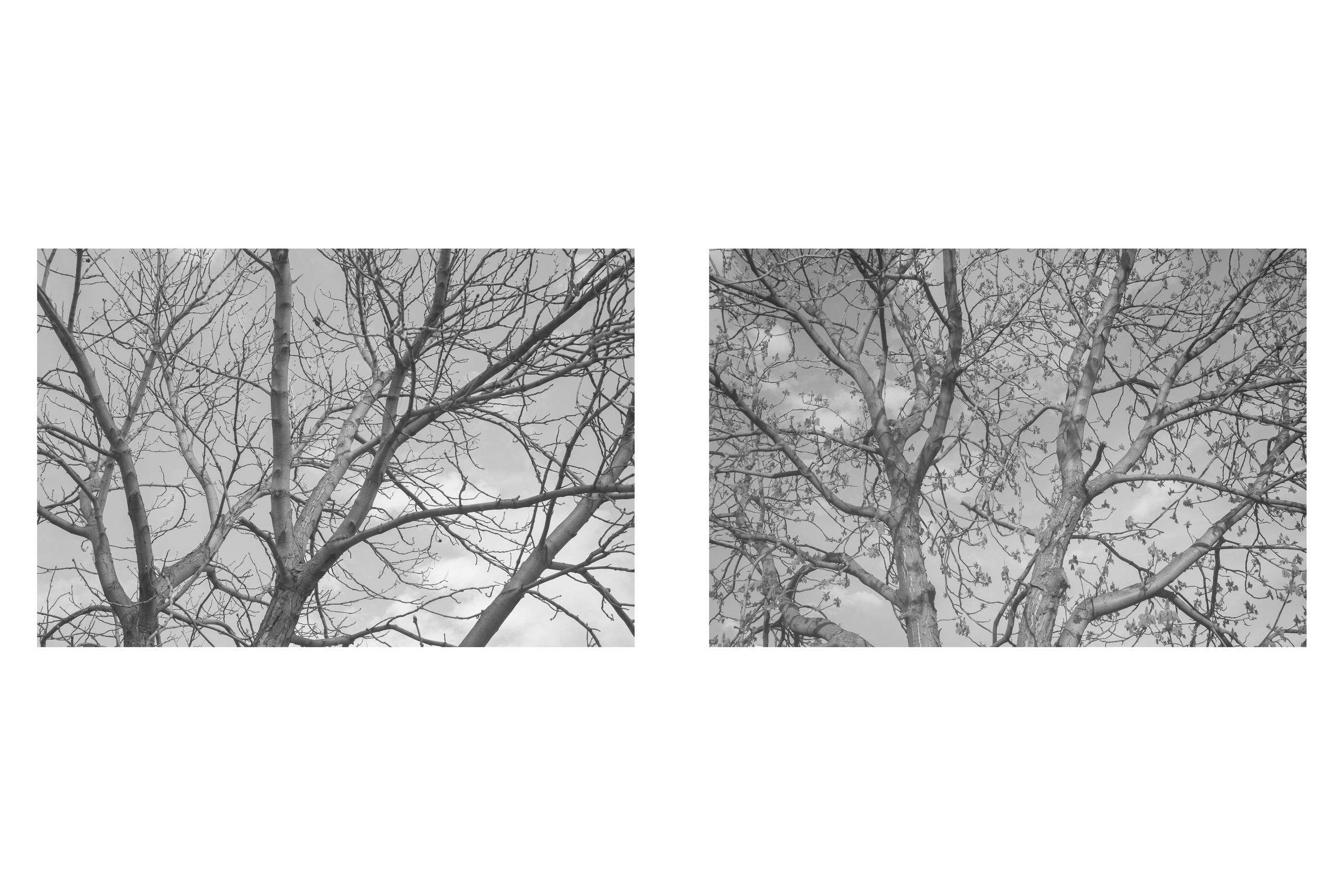 Текущие обстоятельства. Фотограф Злата Спицына