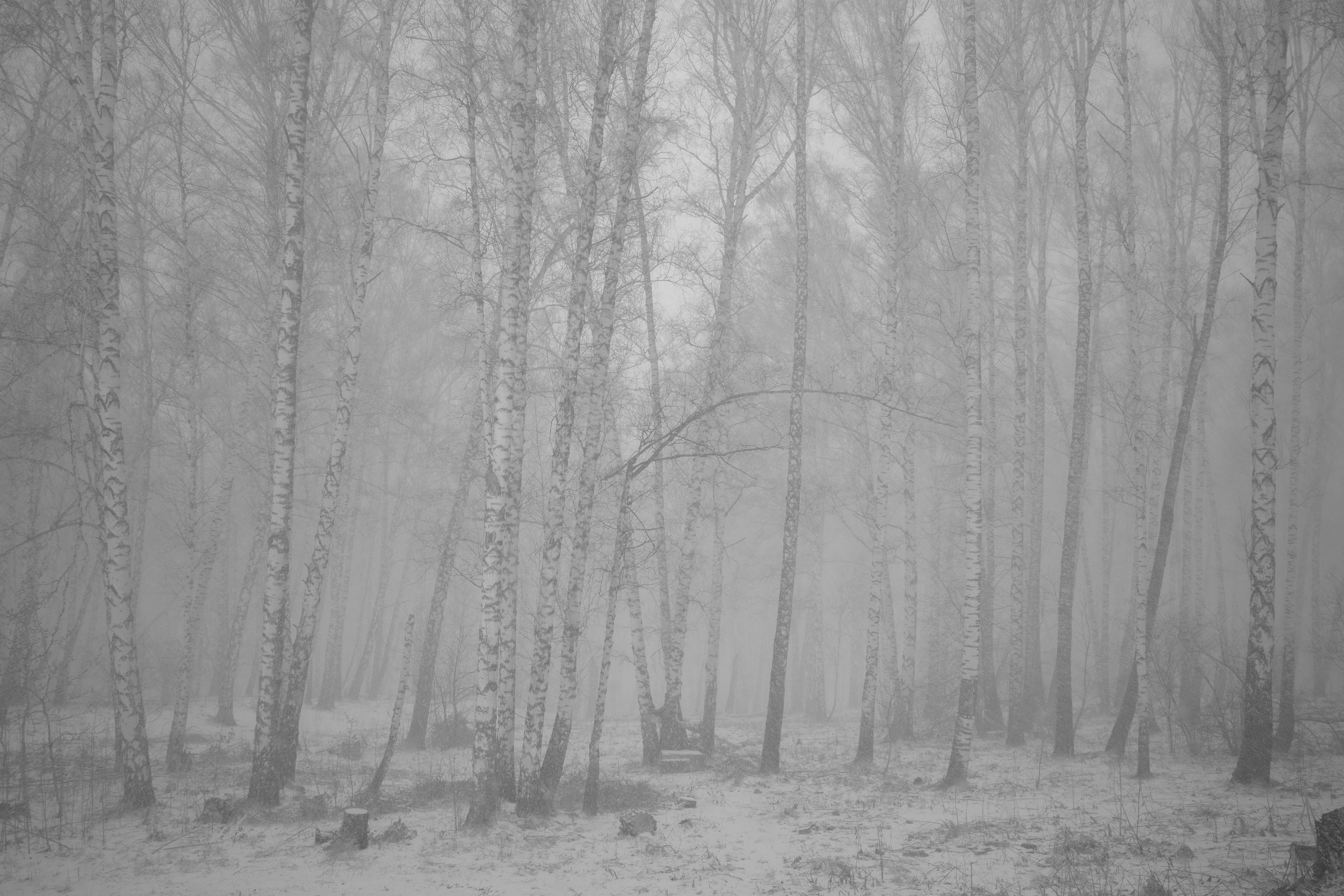 Текущие обстоятельства. Фотограф Злата Спицына