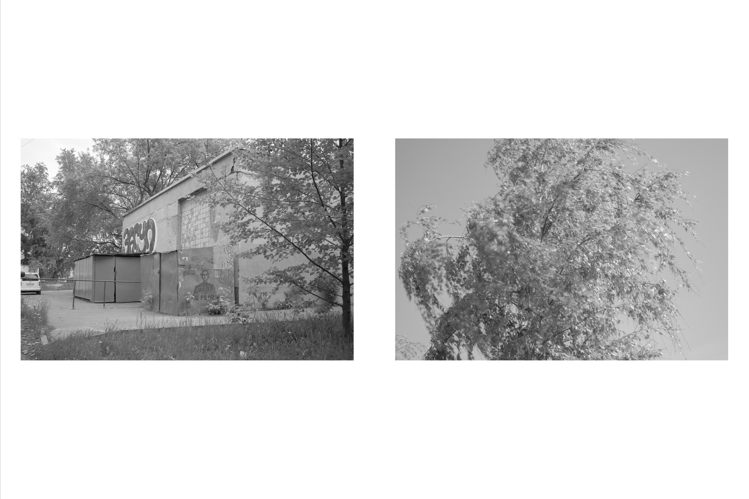 Текущие обстоятельства. Фотограф Злата Спицына