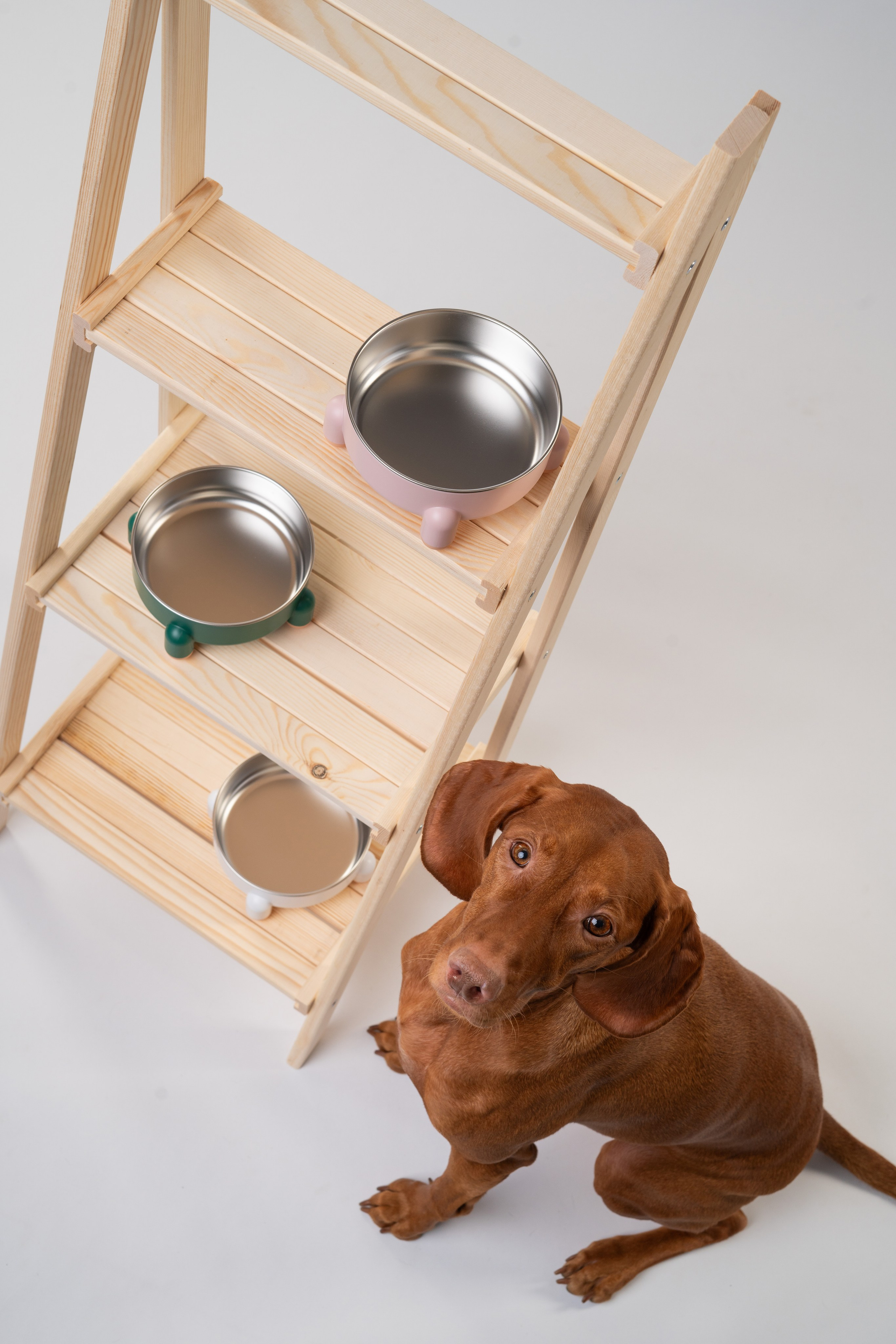 Миски. Фотограф анималист Осипчикова Мария