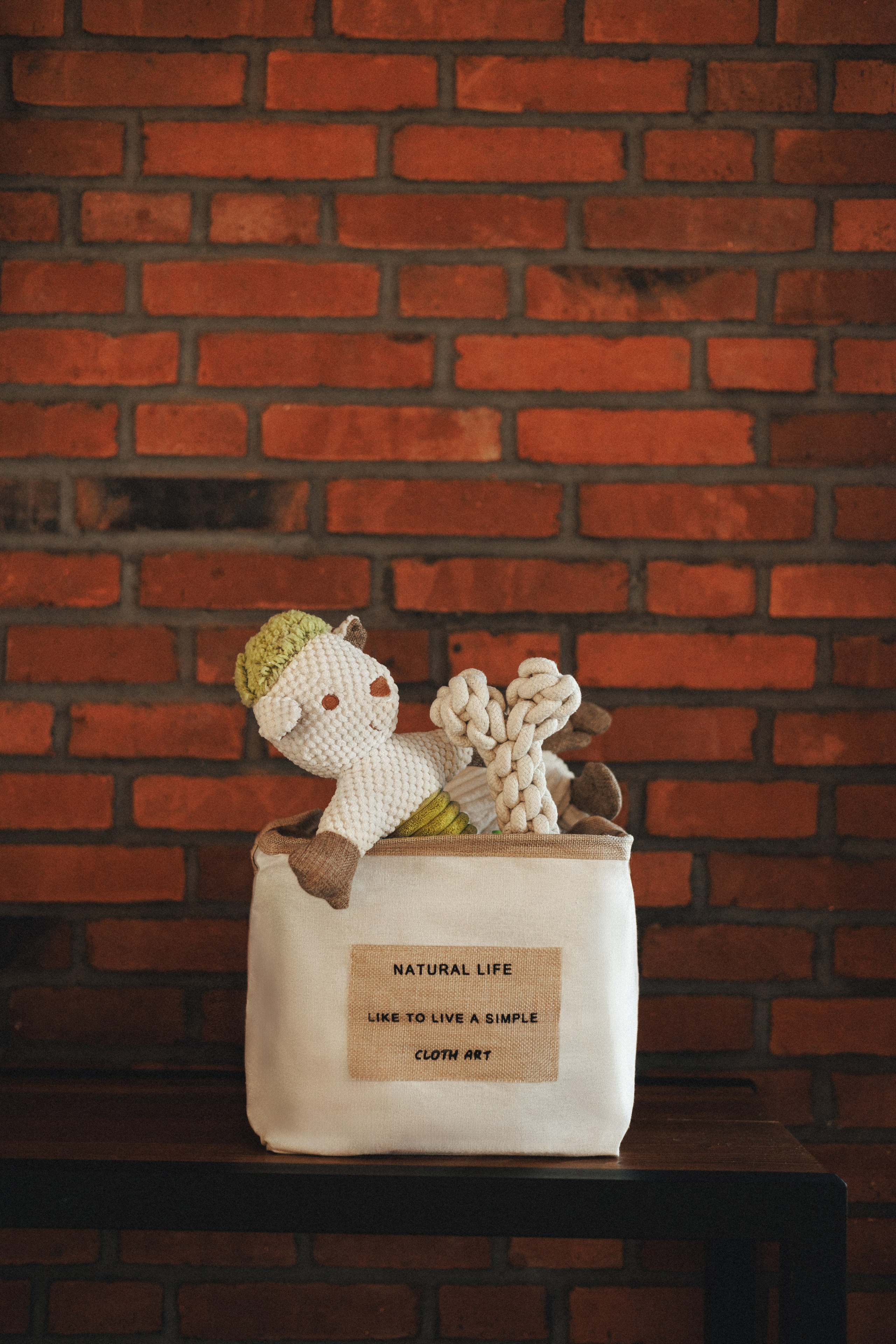 M-Pets. Фотограф анималист Осипчикова Мария