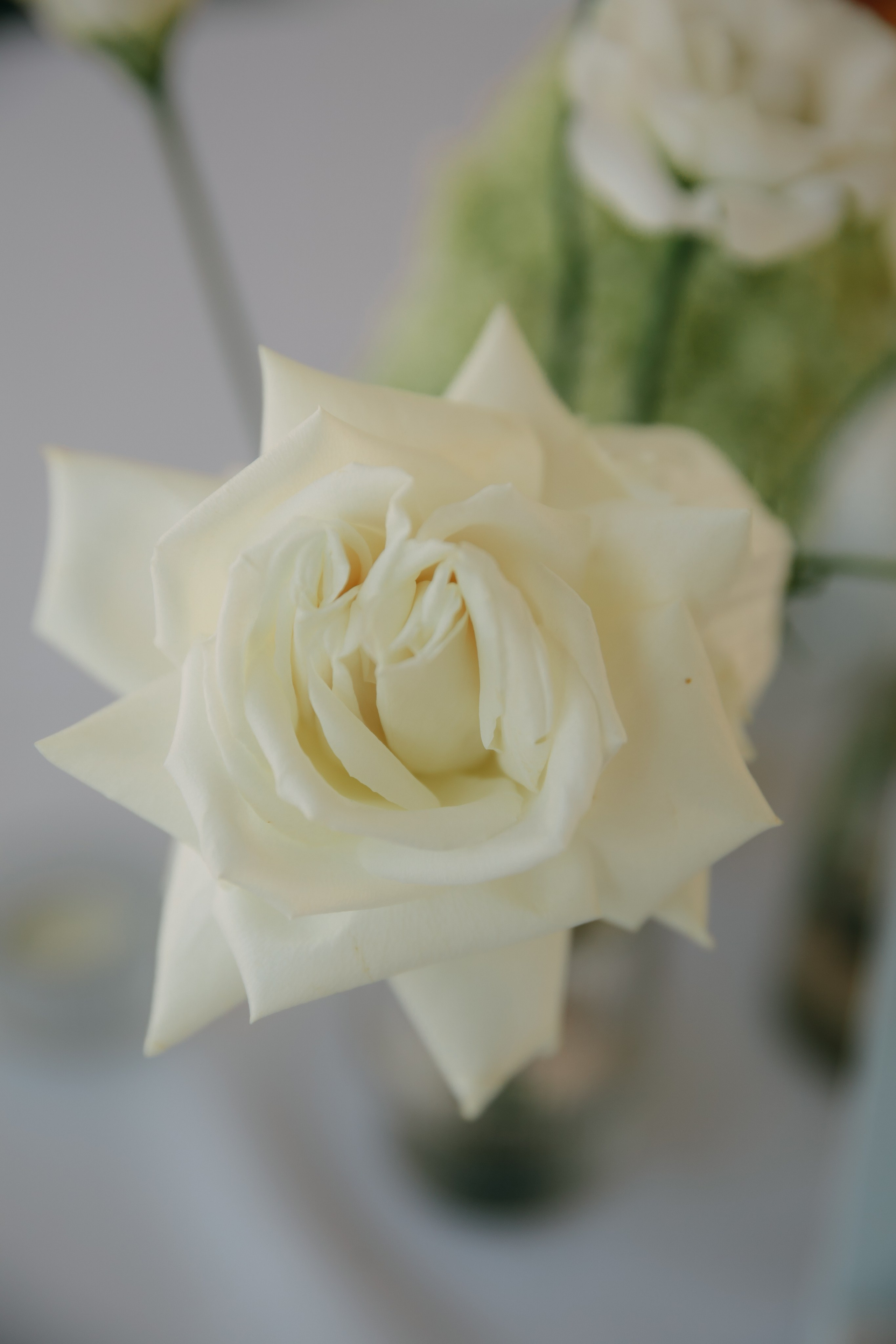 Оля и Кирилл. Катерина Макиева