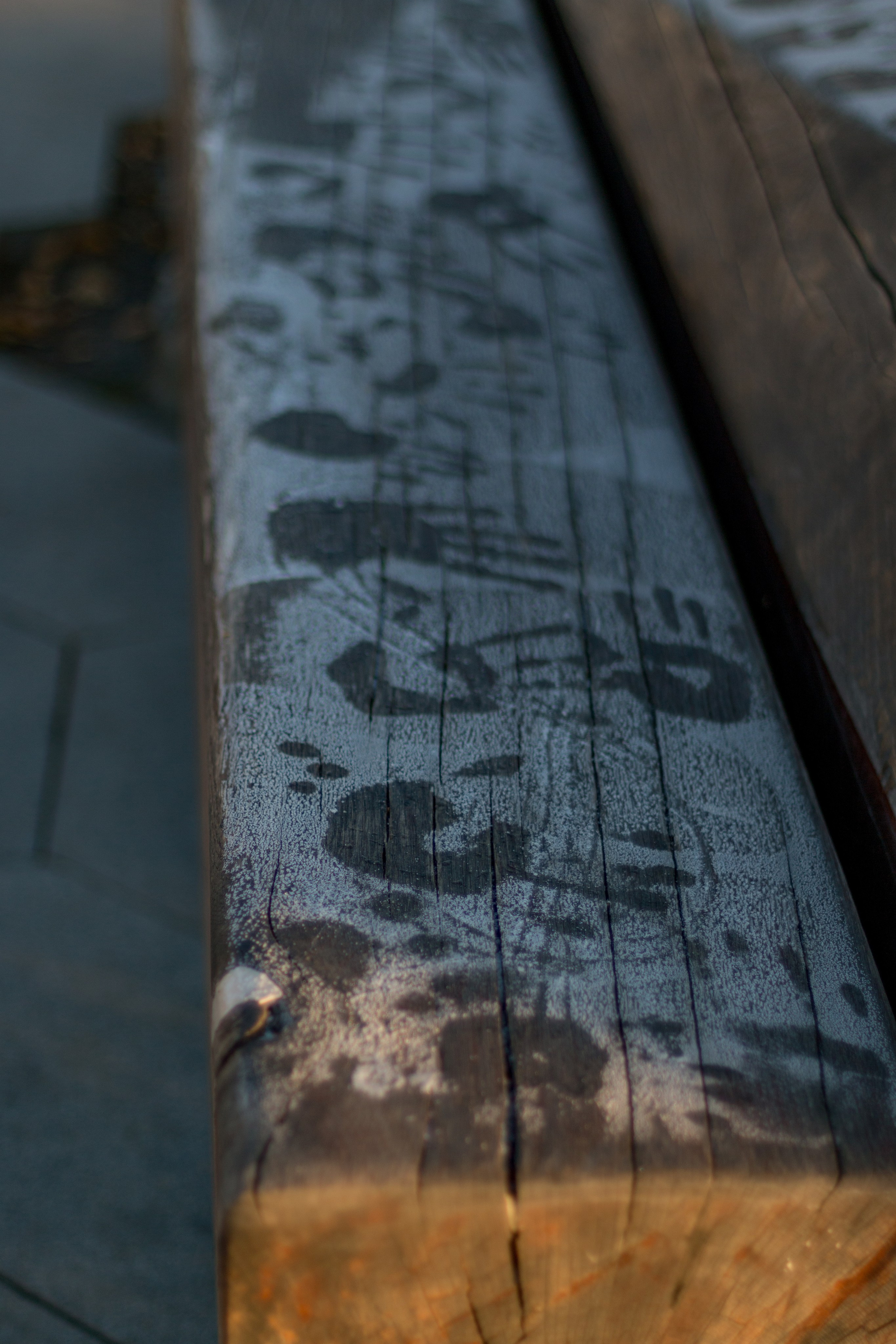 Москва. Фотограф в Сочи