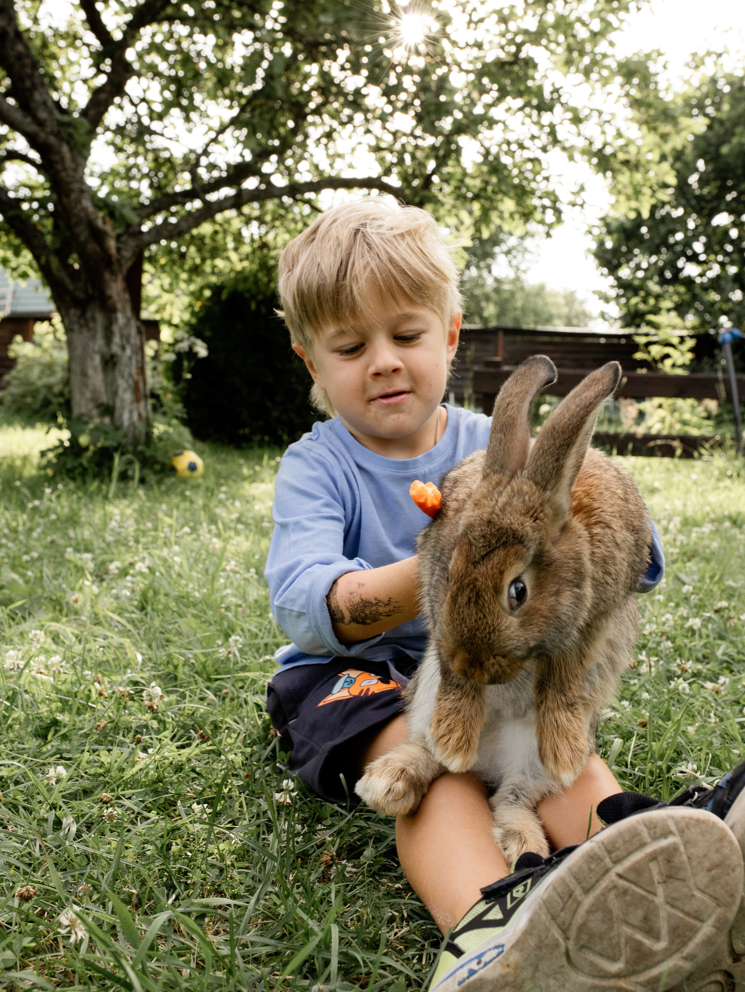 Кролики 2023. Семейный фотограф в Санкт-Петербурге Ирина Иванова