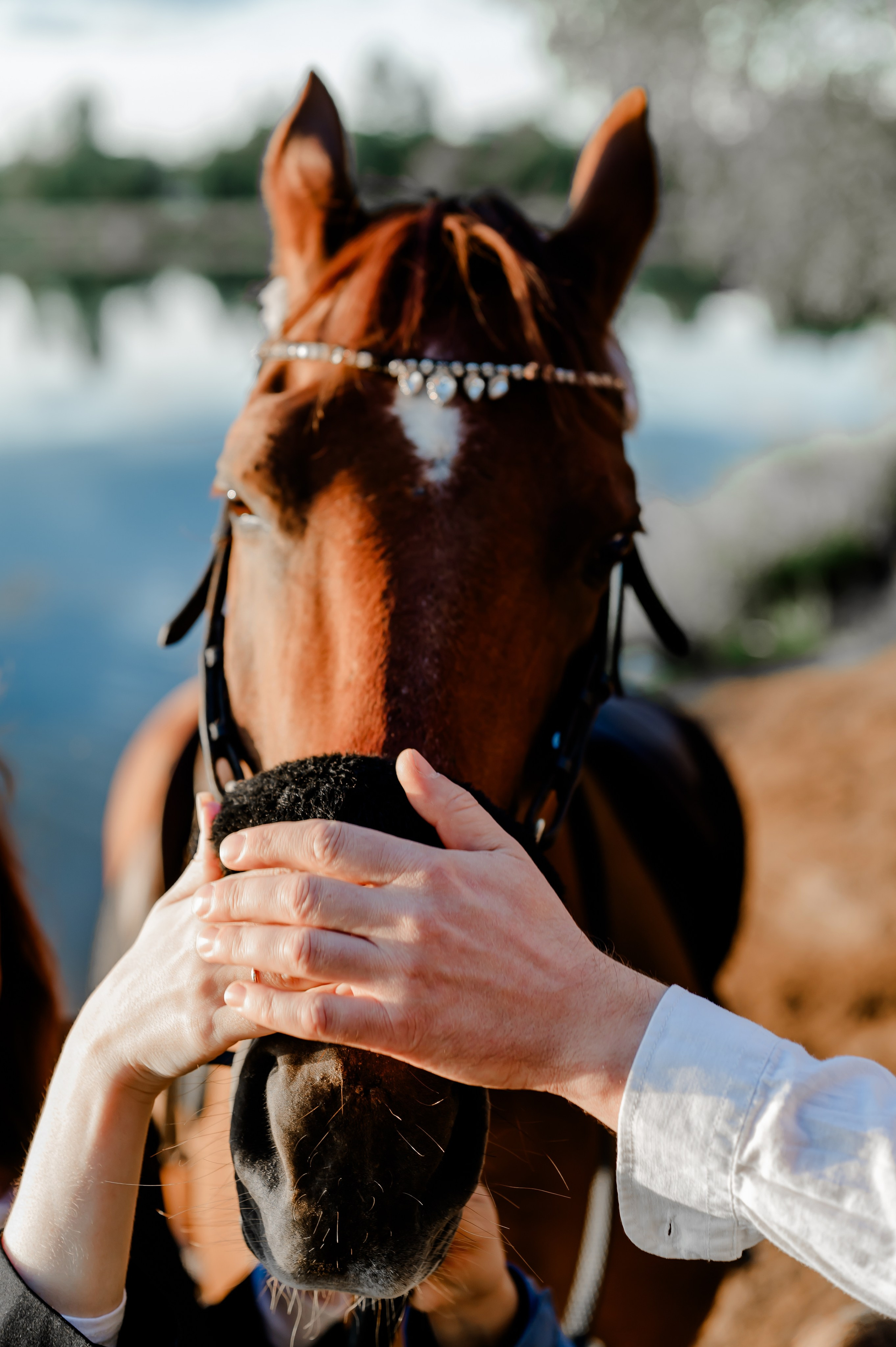 Анастасия&Максим. Свадебный и семейный фотограф Евгения Кононова