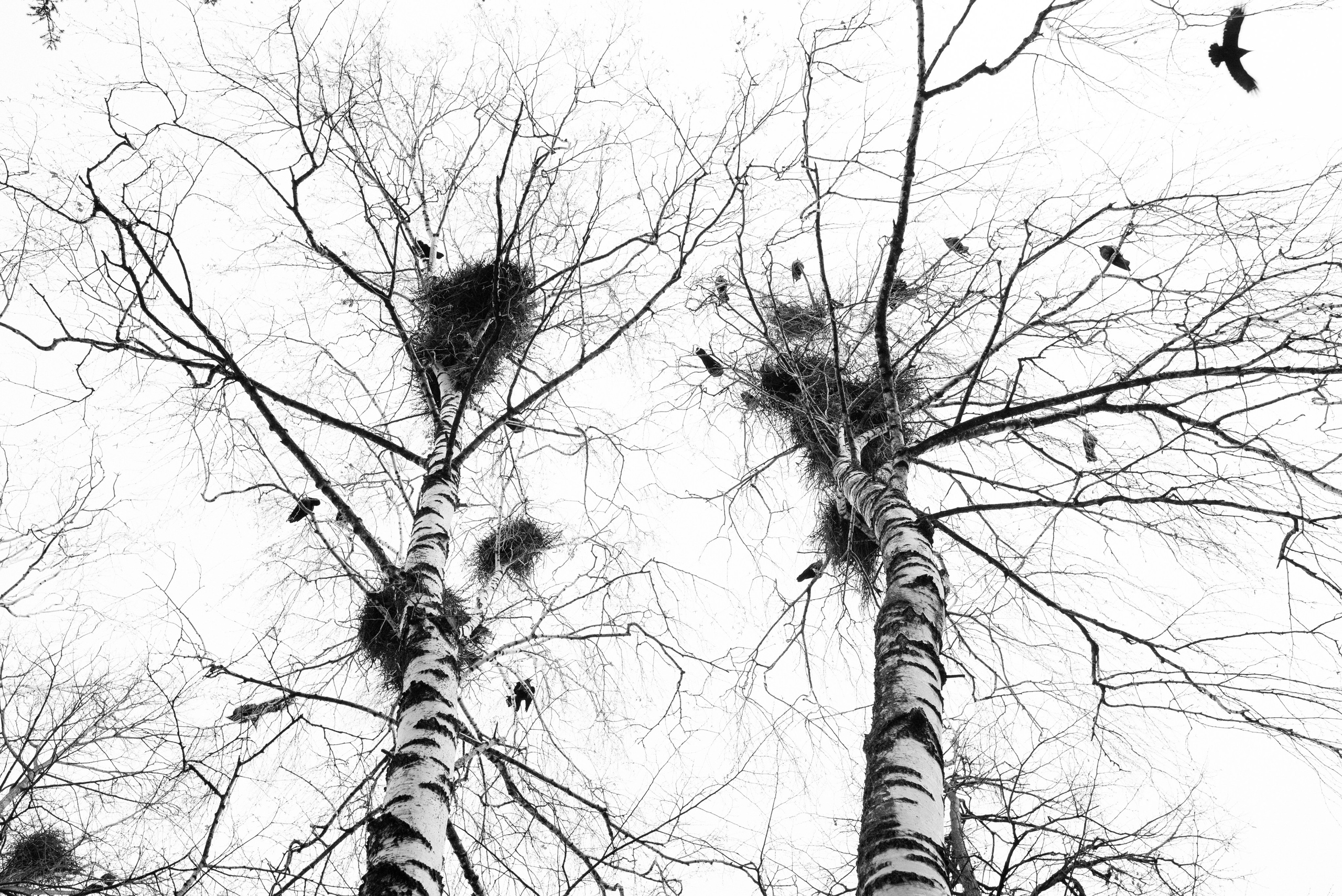 ДУША. Семейный и newborn фотограф в Уфе Елена Сакурова