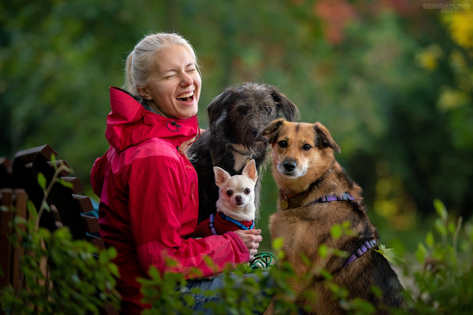 Фотосессия с собакой. Фотограф собак в Москве и Московской области Иванушкина Мария