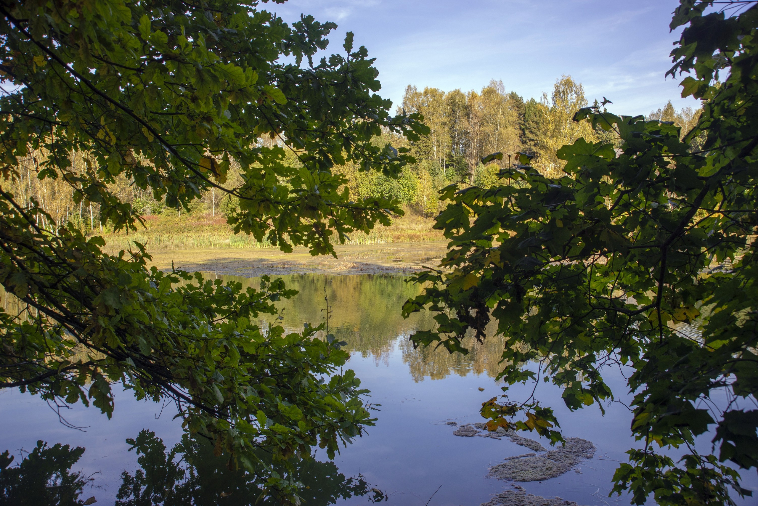Абрамцево. Сентябрь 2023. Игорь Жучков. Россия увиденная глазами путешествующего фотографа