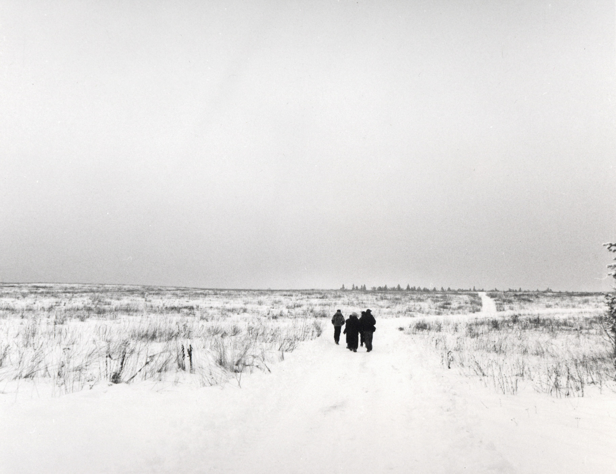 Polushkin quarries: Field, 2024, 24x18 cm, from the Waterfall series, Ilford Multigrade RC Deluxe, 1/4 + 2AP