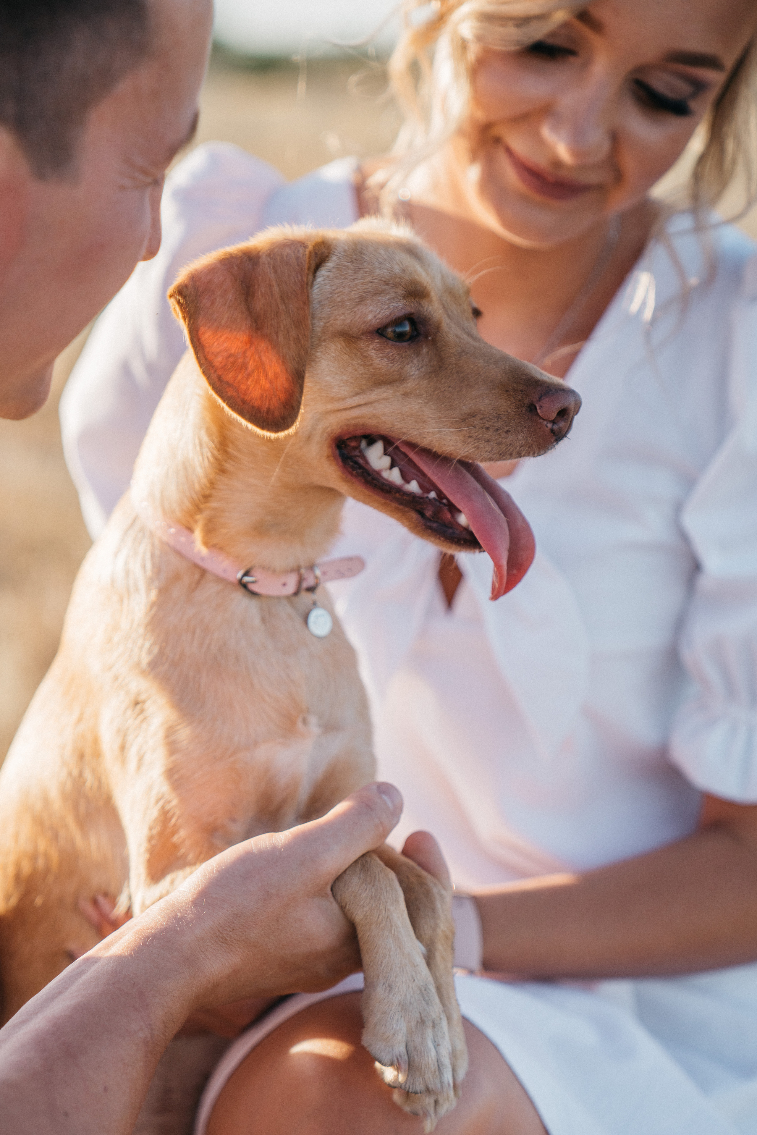 Настя и Саша. Свадебный и семейный фотограф в Волгограде Юлия Гринева