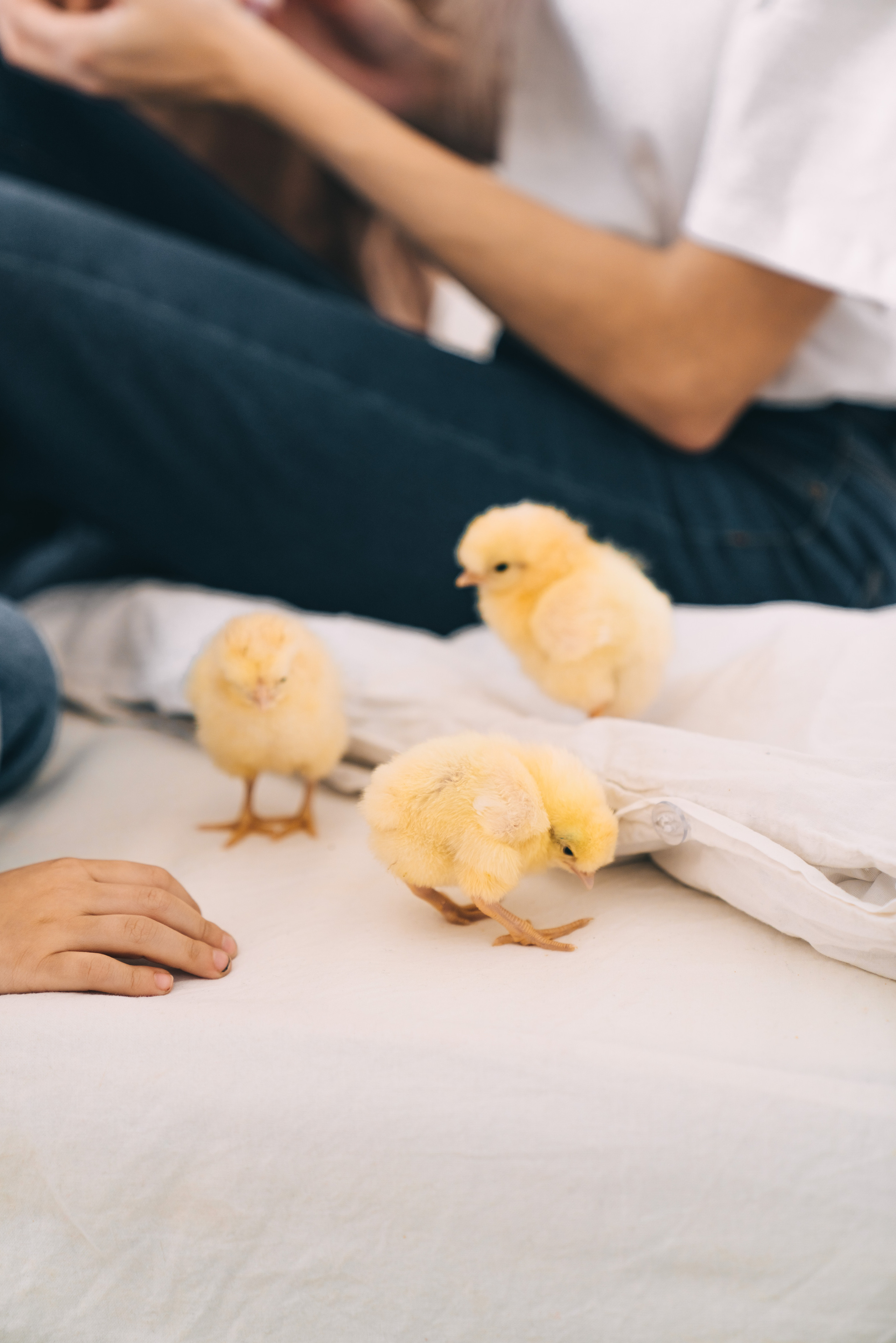 Анастасия и ее погодки. Свадебный и семейный фотограф в Волгограде Юлия Гринева