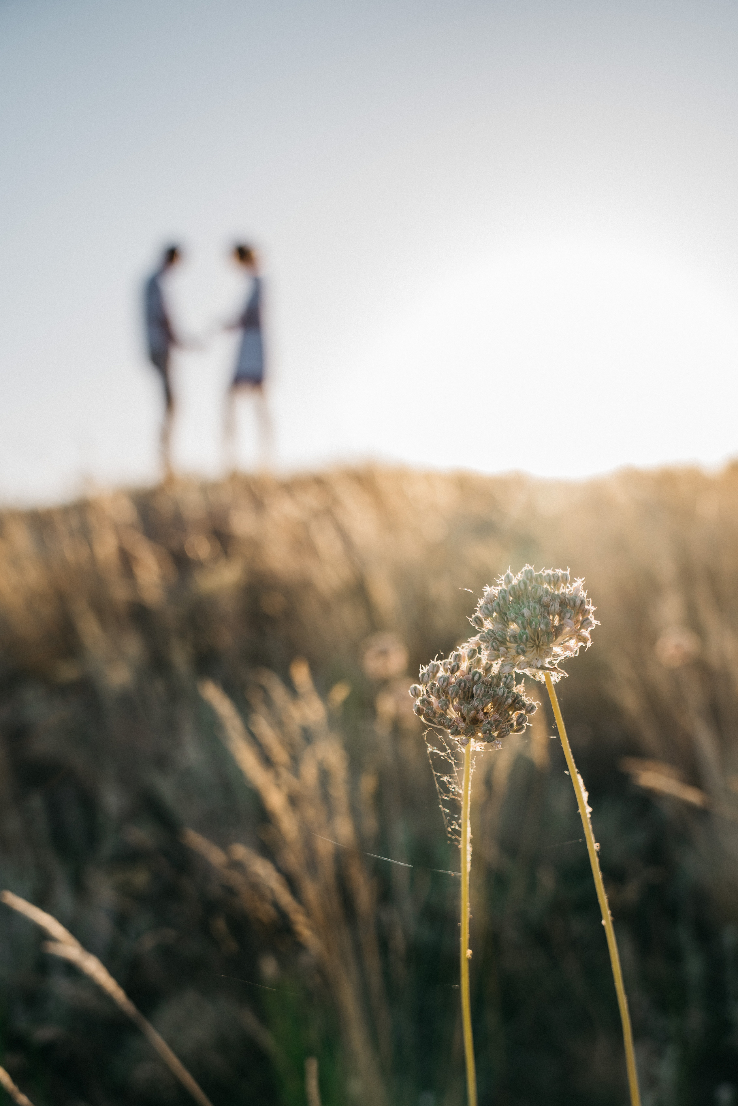 Настя и Саша. Свадебный и семейный фотограф в Волгограде Юлия Гринева