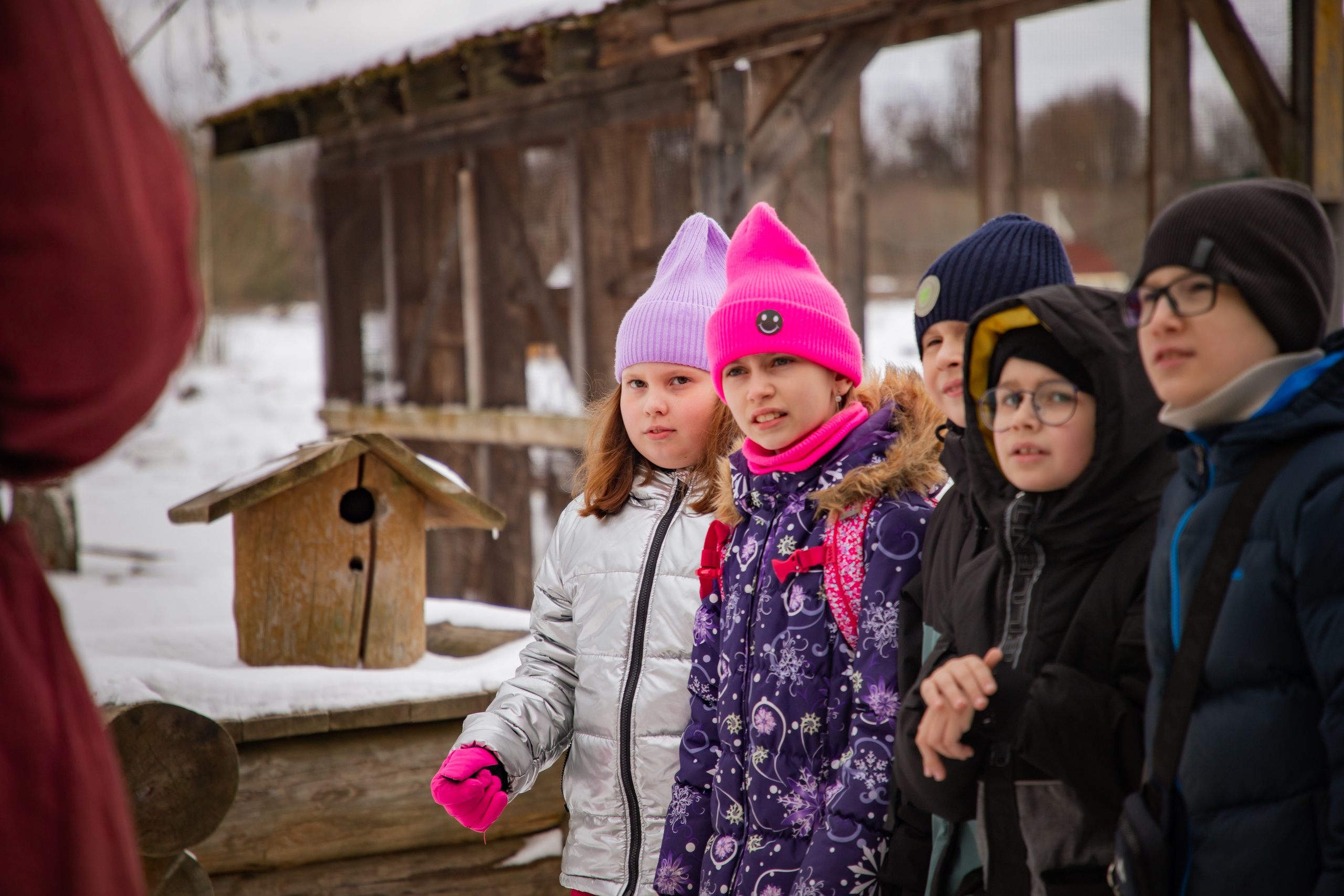 День Рождения в сказке. Фотограф Алексей Шуля — портфолио