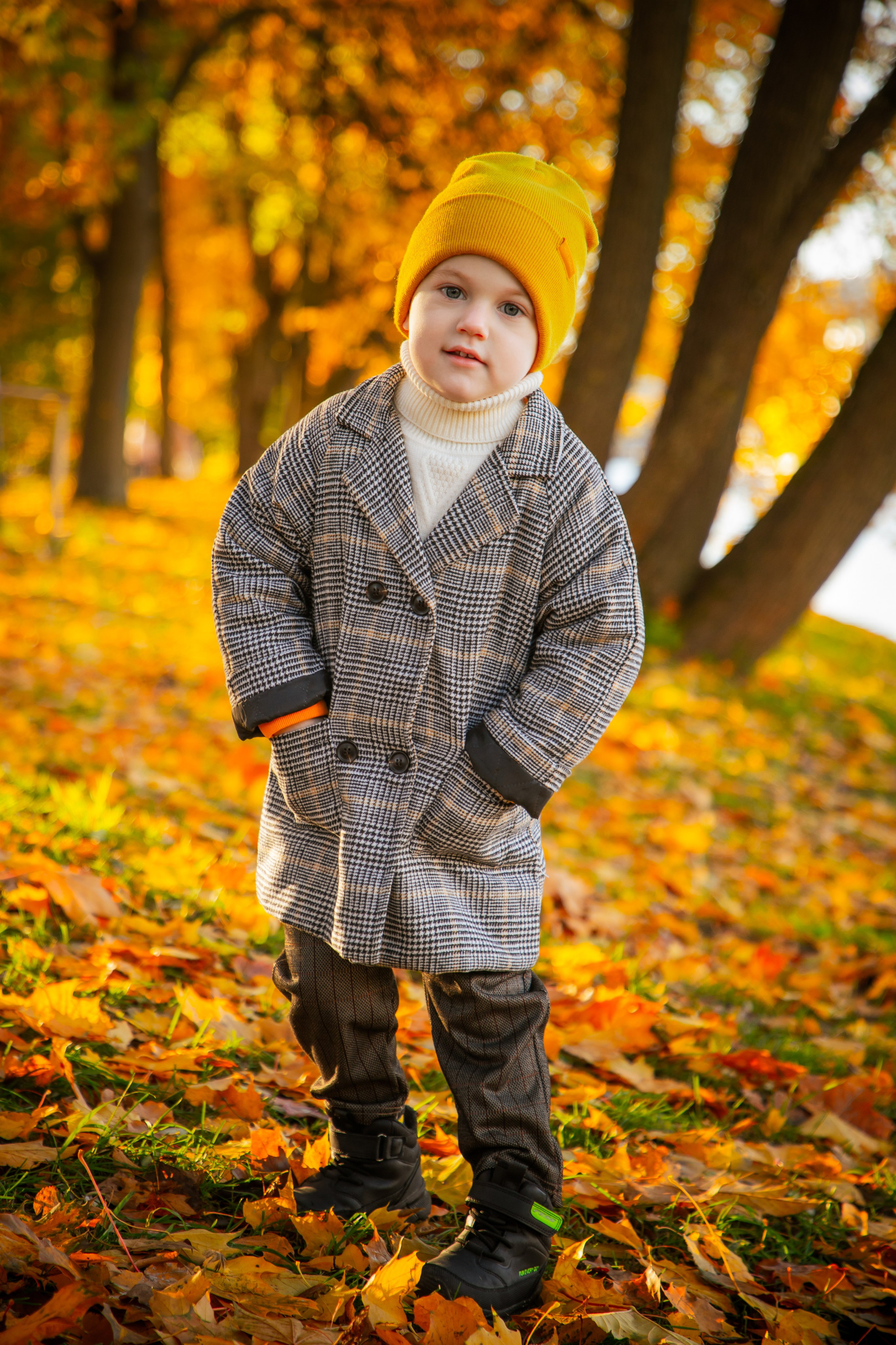 Осень. Фотограф Алексей Шуля — портфолио