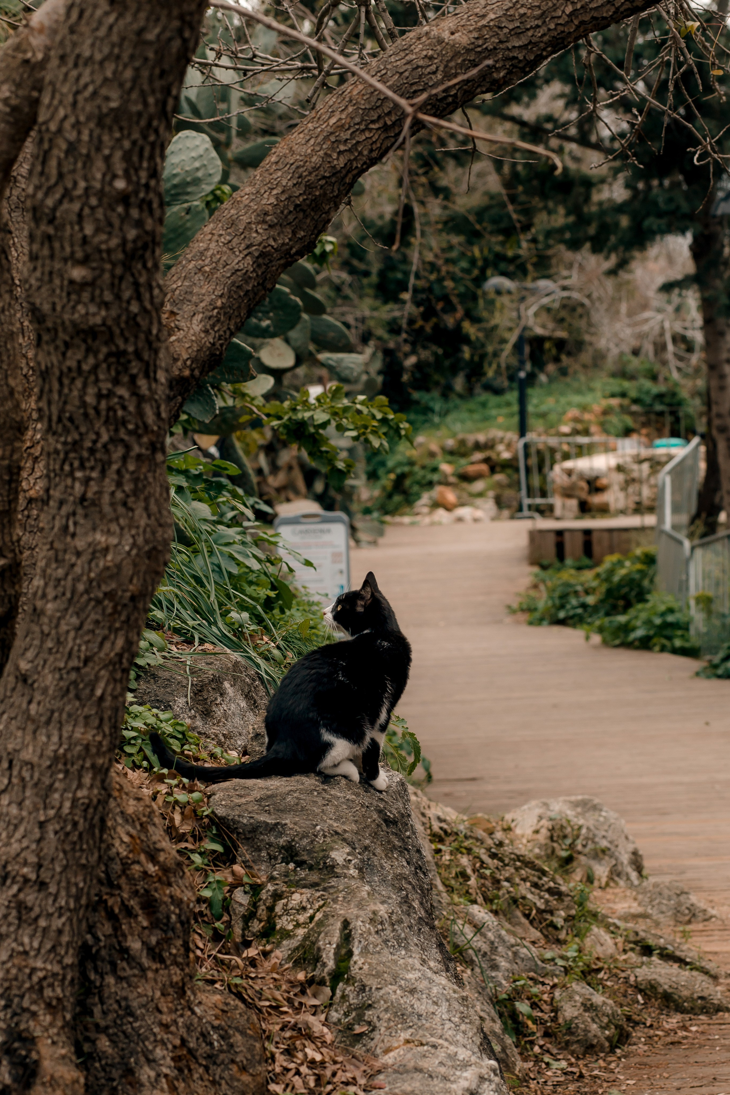 Turkey, Alanya. Art Photographer