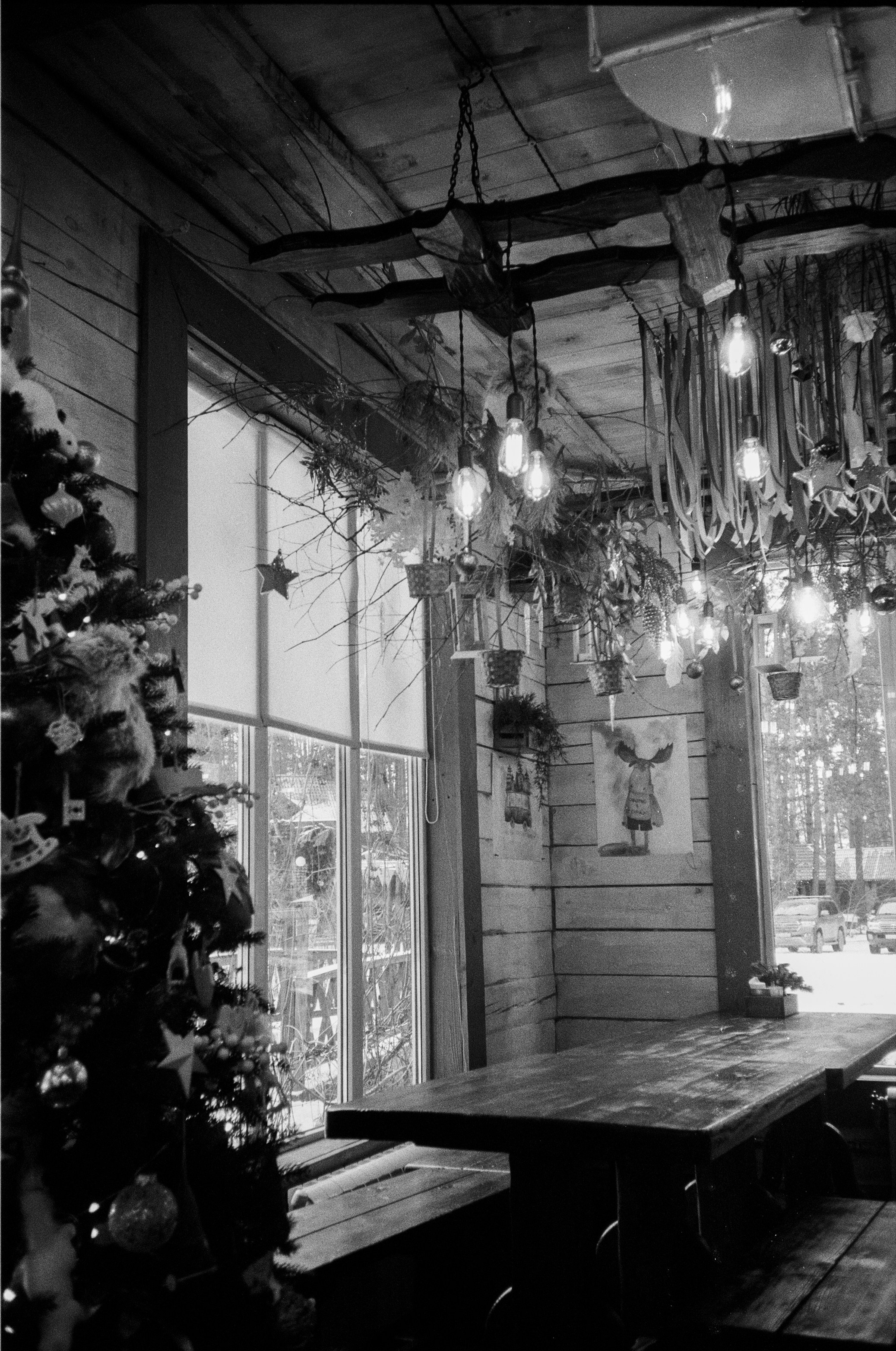 Olympus AF-10 SUPER / Ilford PAN 400 / Алтай, зима 2023 год