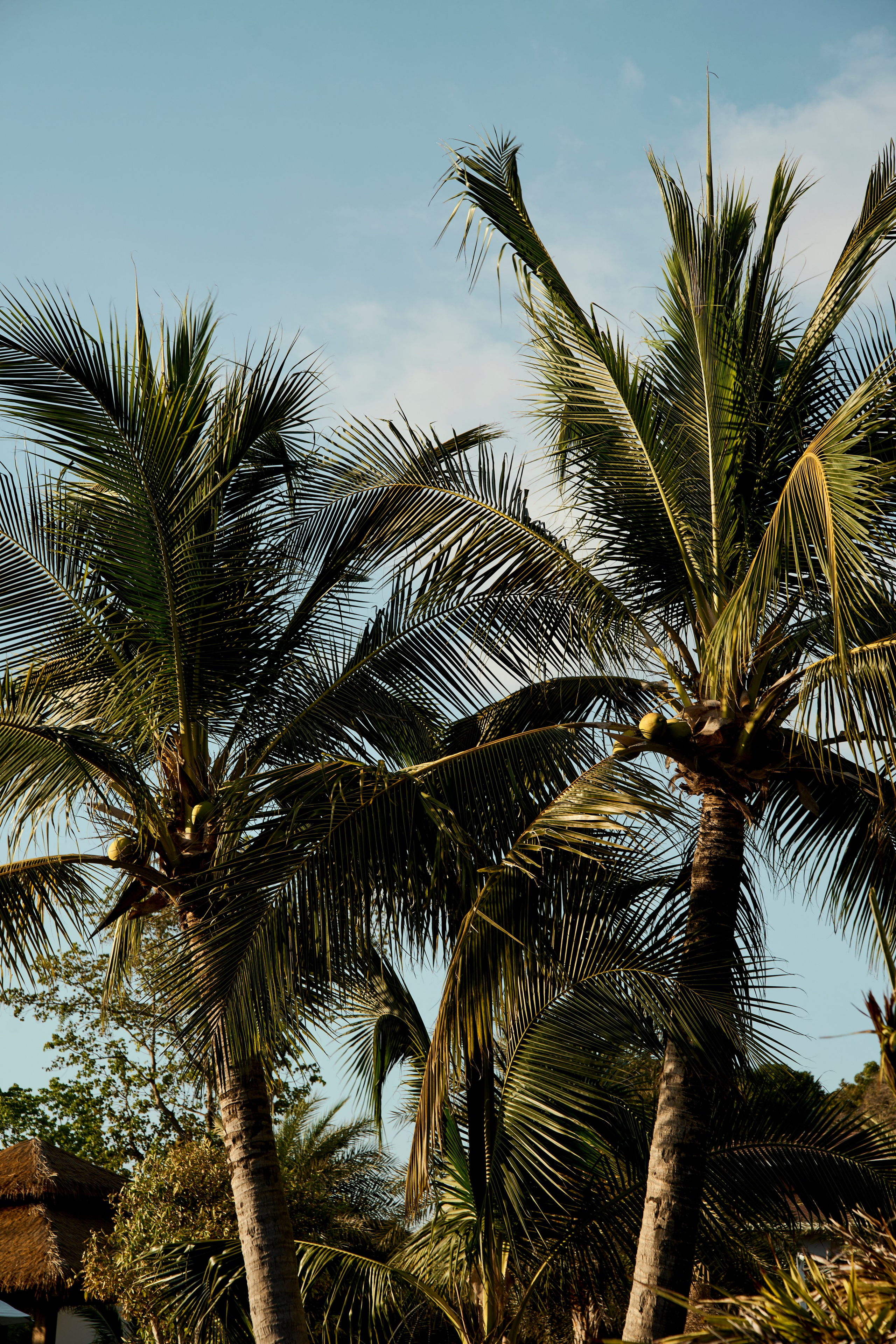 ТАИЛАНД. Студийный фотограф в Екатеринбурге Бшари Заана