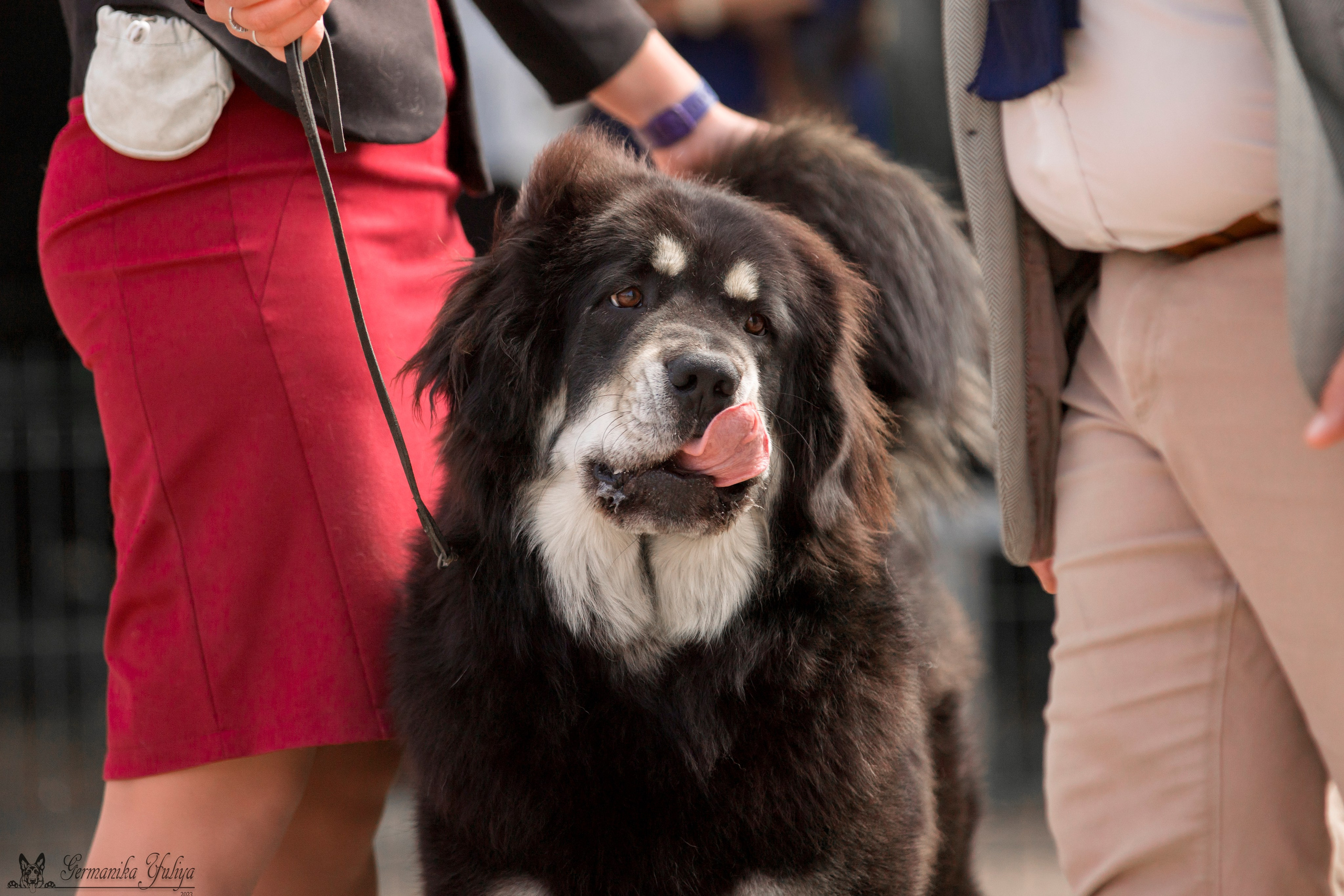 Бишкек 29.09-01.10.2023. Фотограф-анималист Юлия Германика