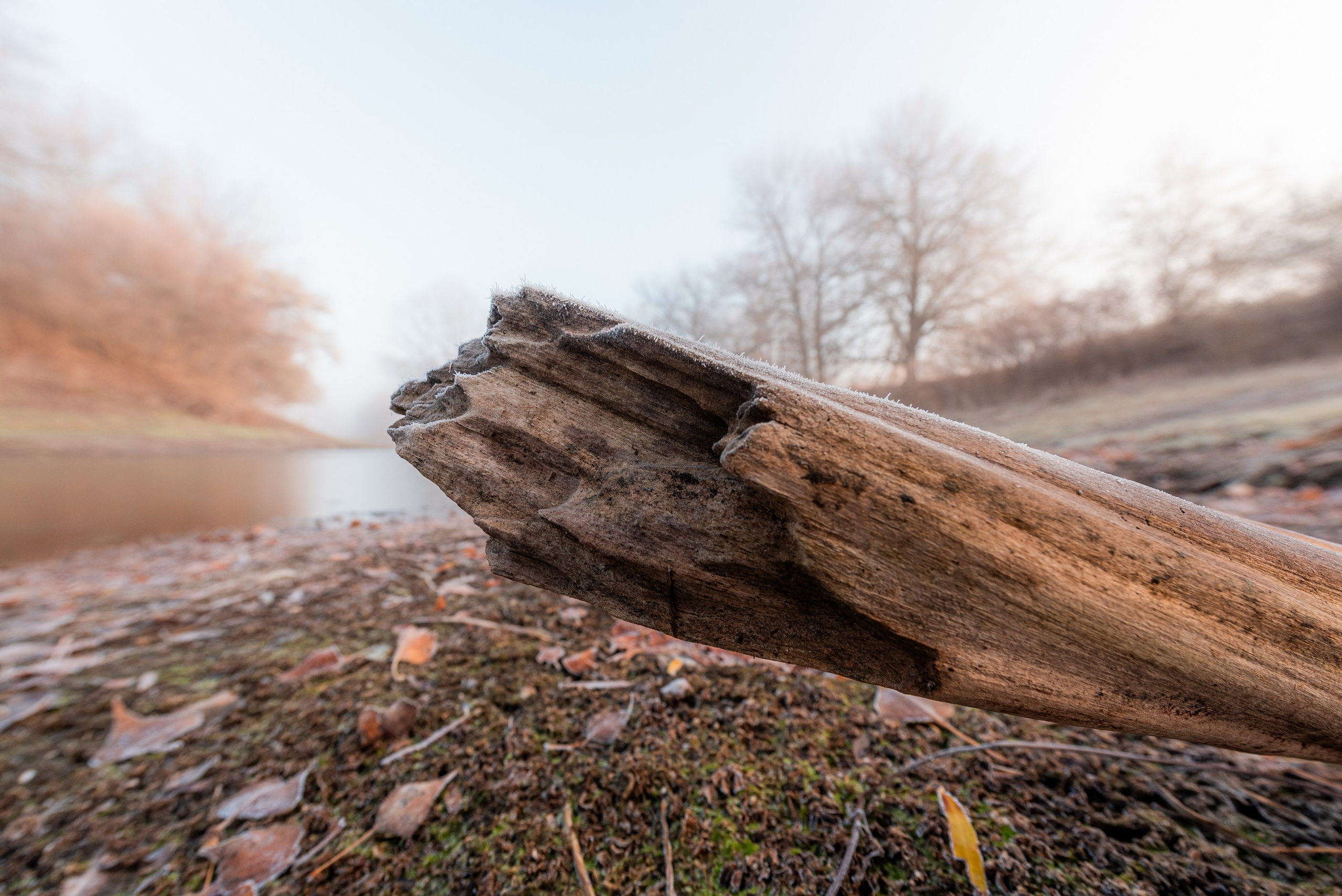 Фотографии утреннего тумана под Волжским. Фотограф в Волгограде и Волжском Александр Горбань