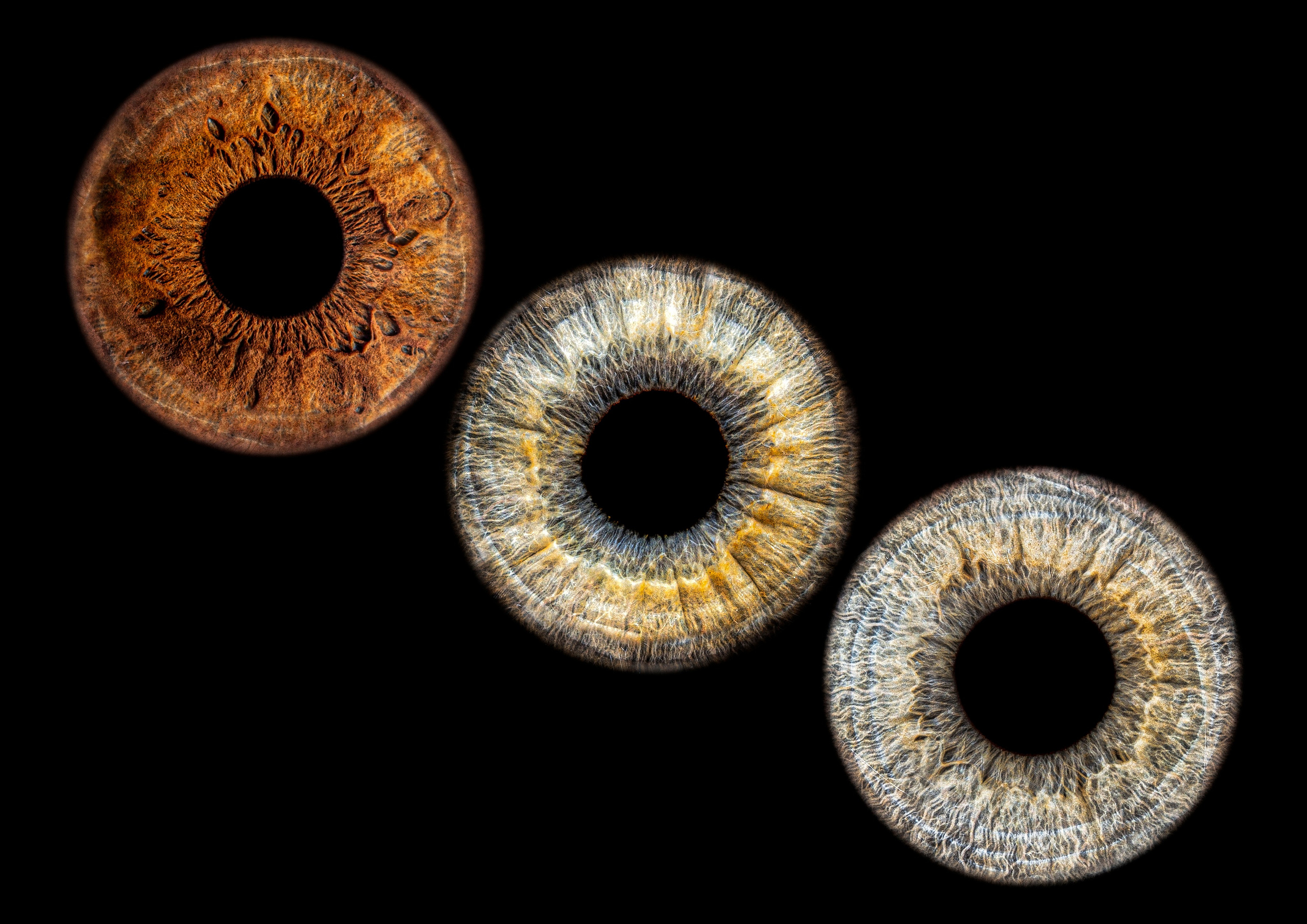 Контакты. Макро Фото радужки глаза в Зеленоградске