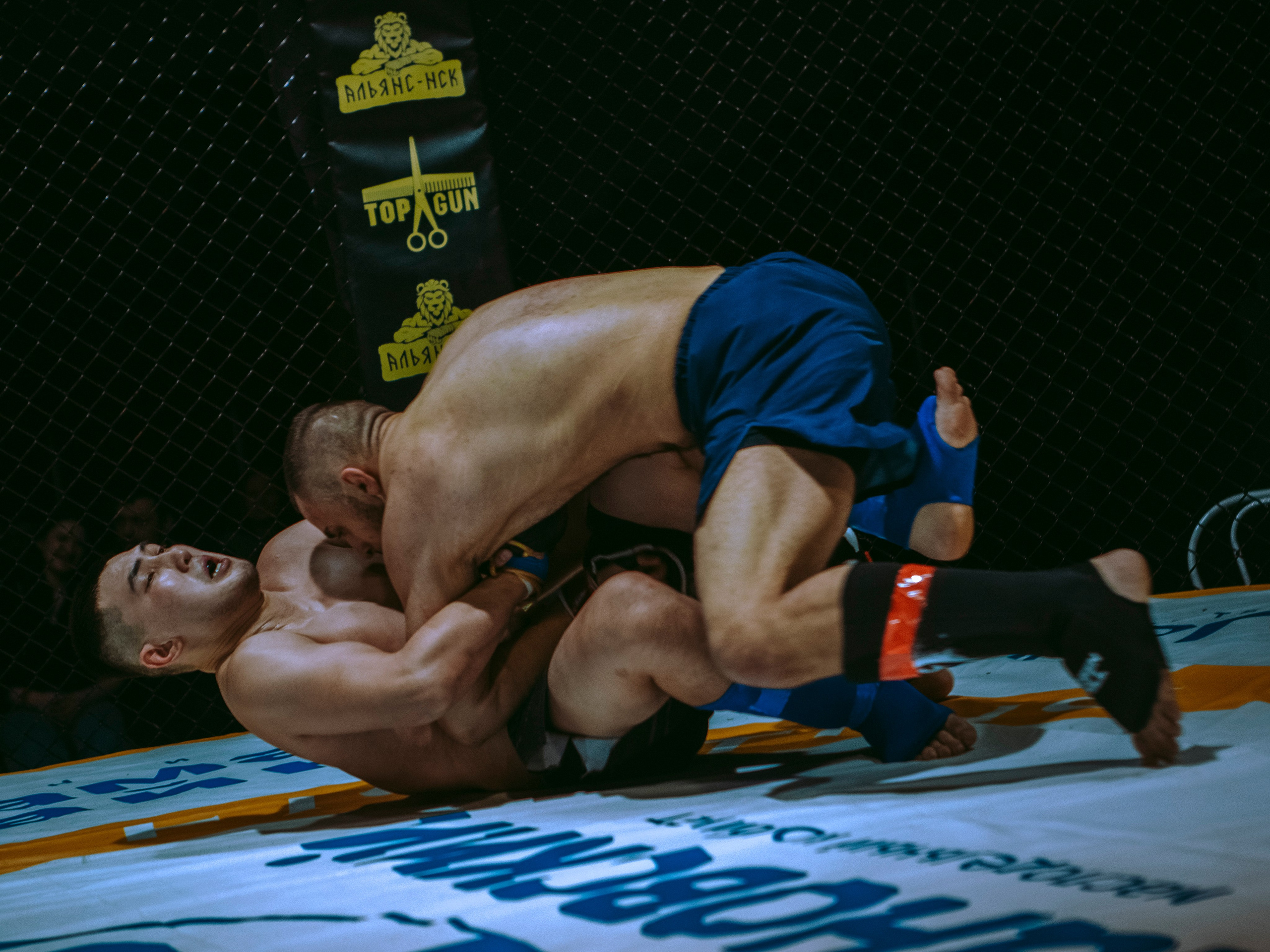 SFL 17 | Siberian Fighting League. Портретный фотограф в Москве Дарья Цезария