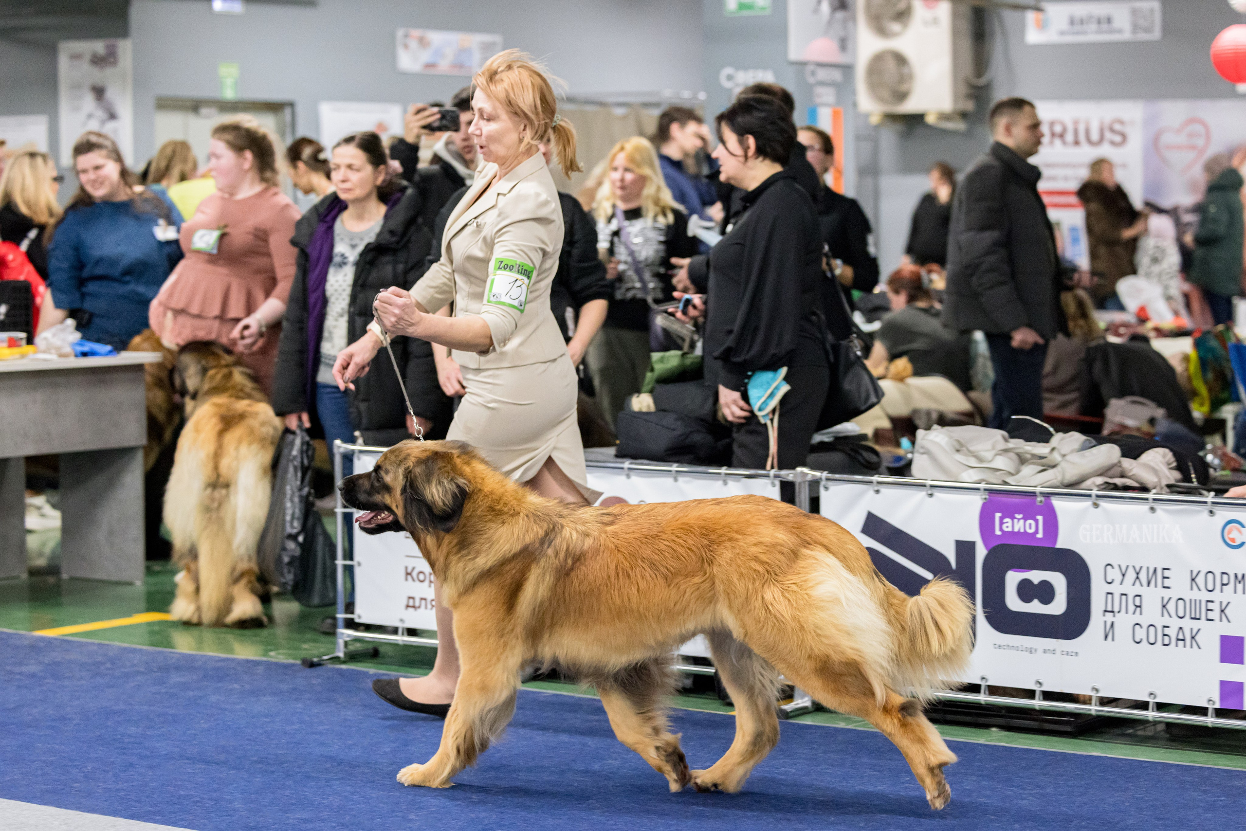 Сфера 28.01. и 4.02.2024. Фотограф-анималист Юлия Германика