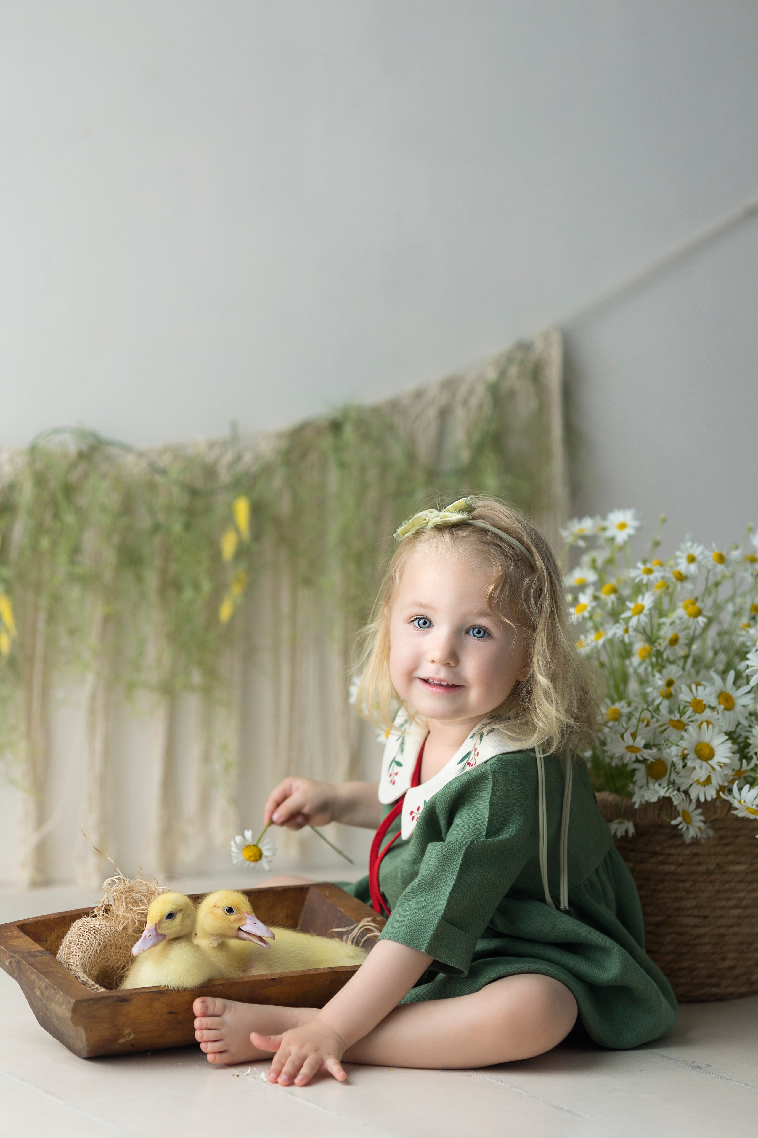 Утки. Главная